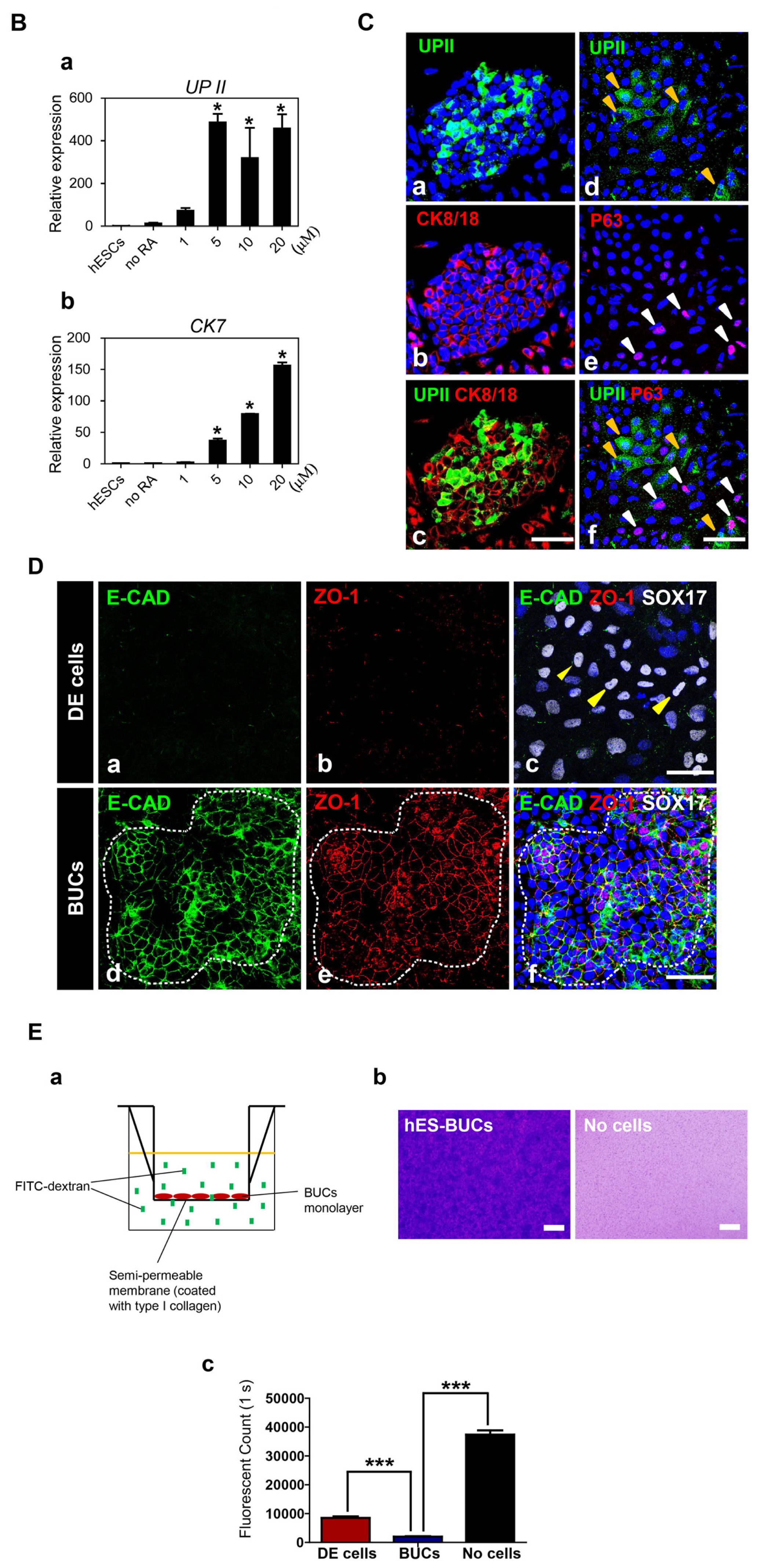 Ijms 15 07139f3b 1024