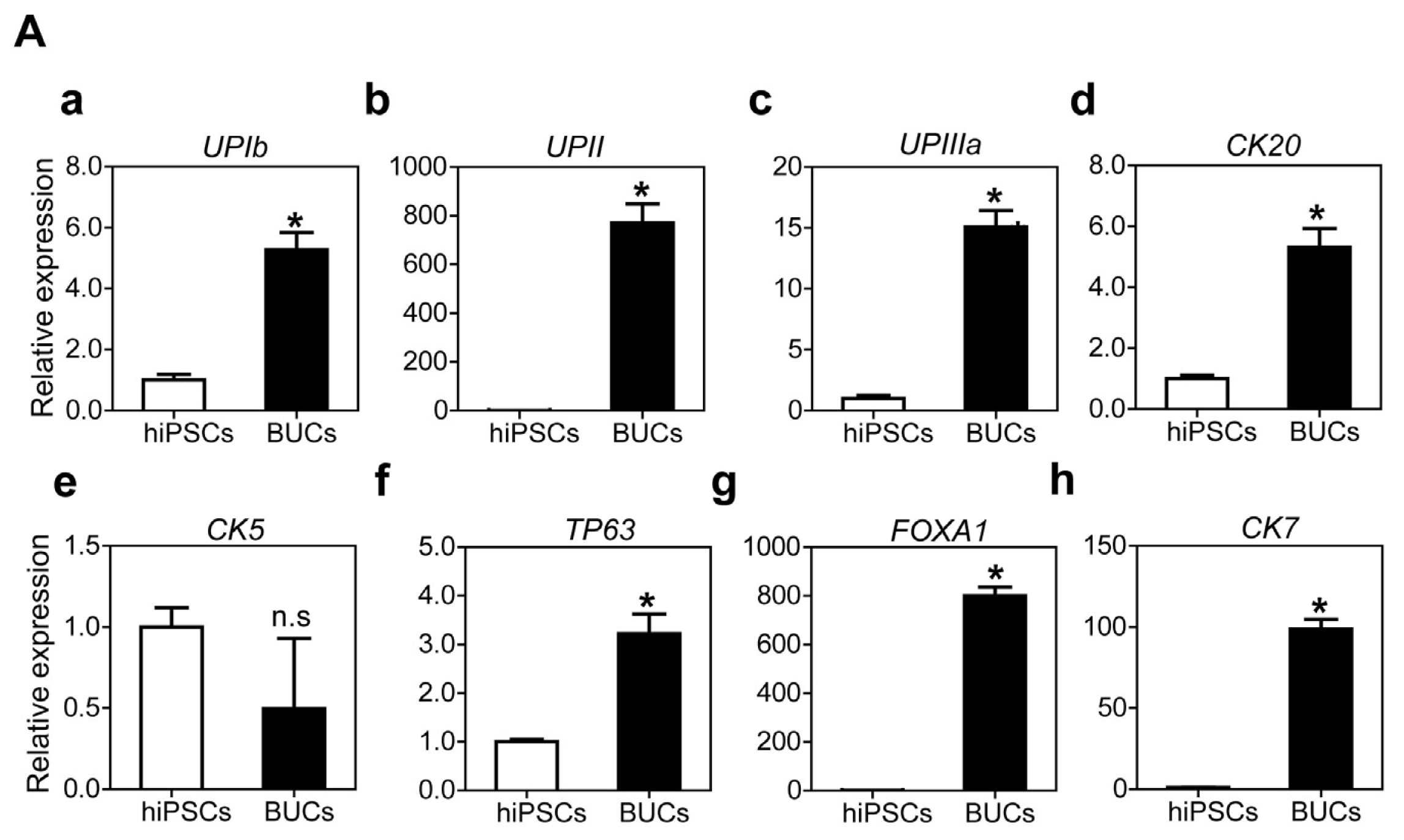 Ijms 15 07139f5a 1024