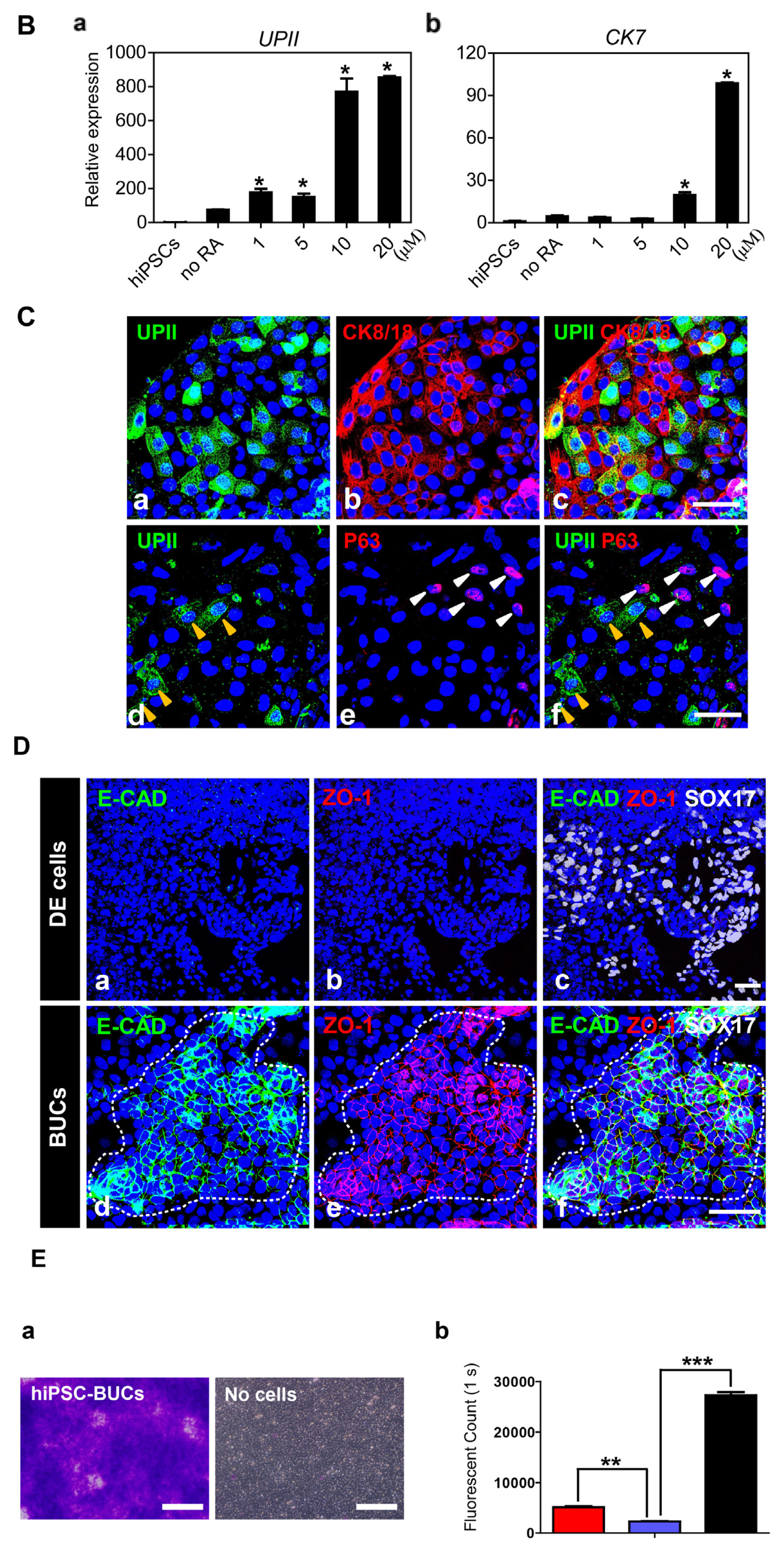 Ijms 15 07139f5b 1024