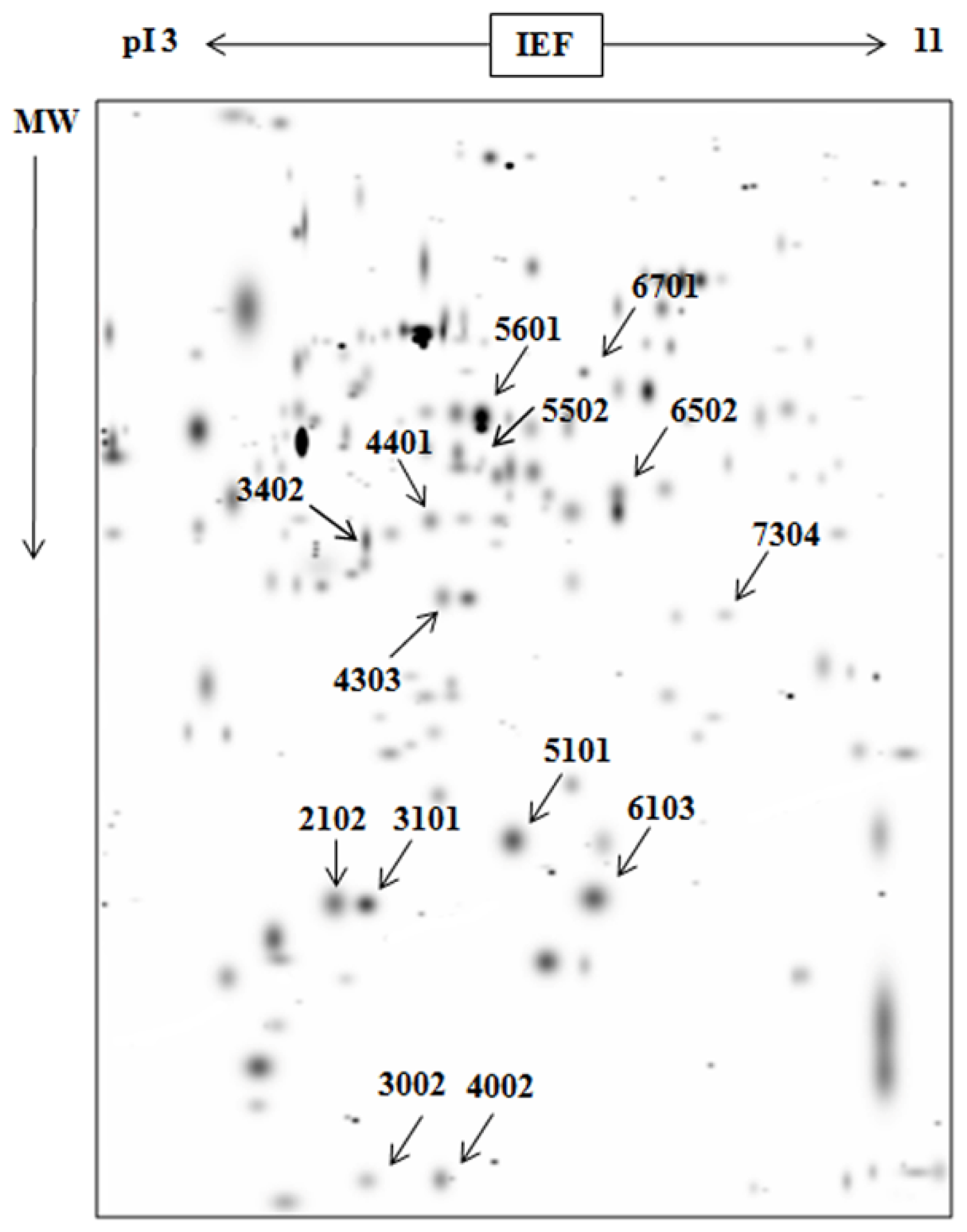 Ijms 15 07281f4 1024