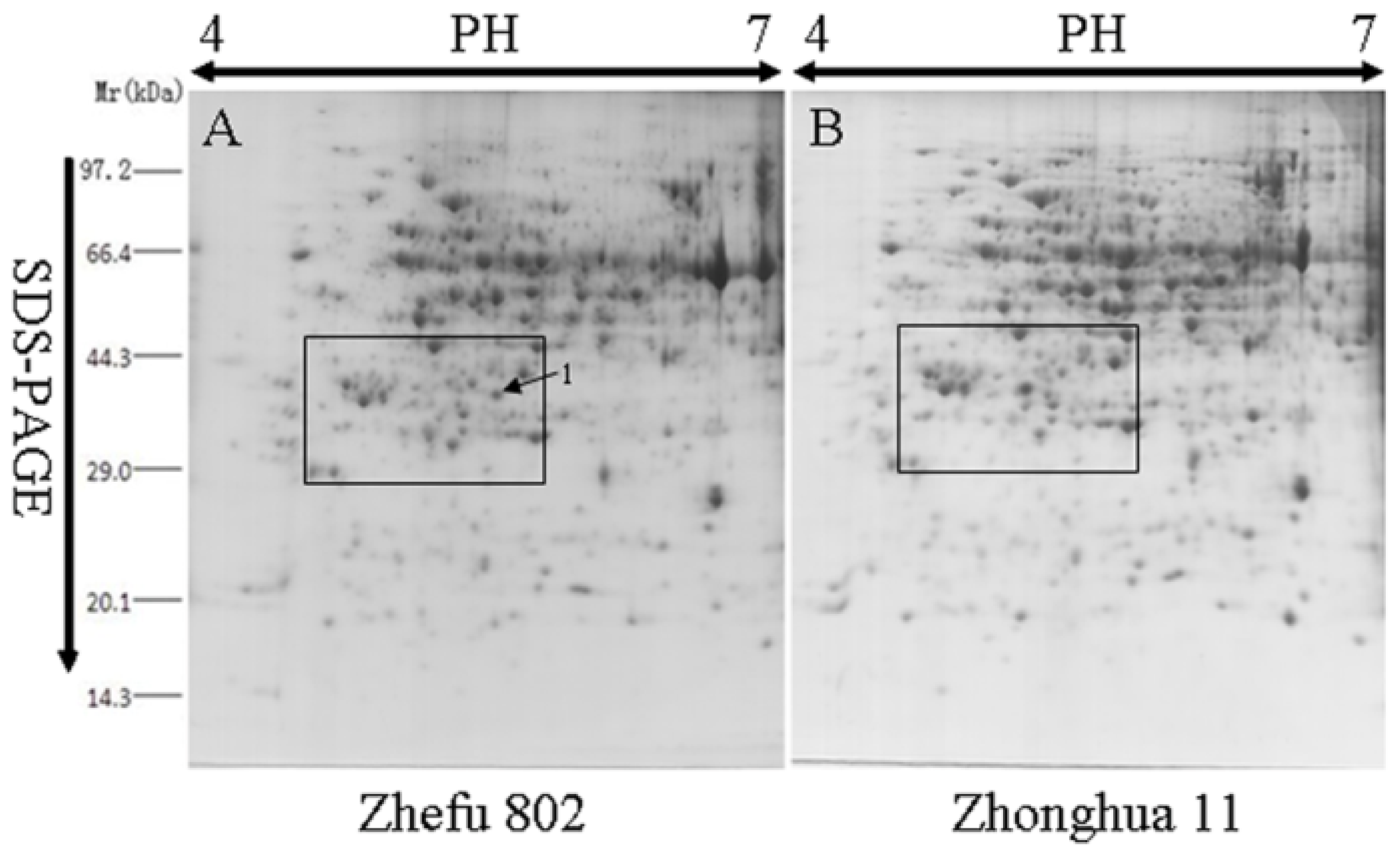 Ijms 15 07332f1 1024