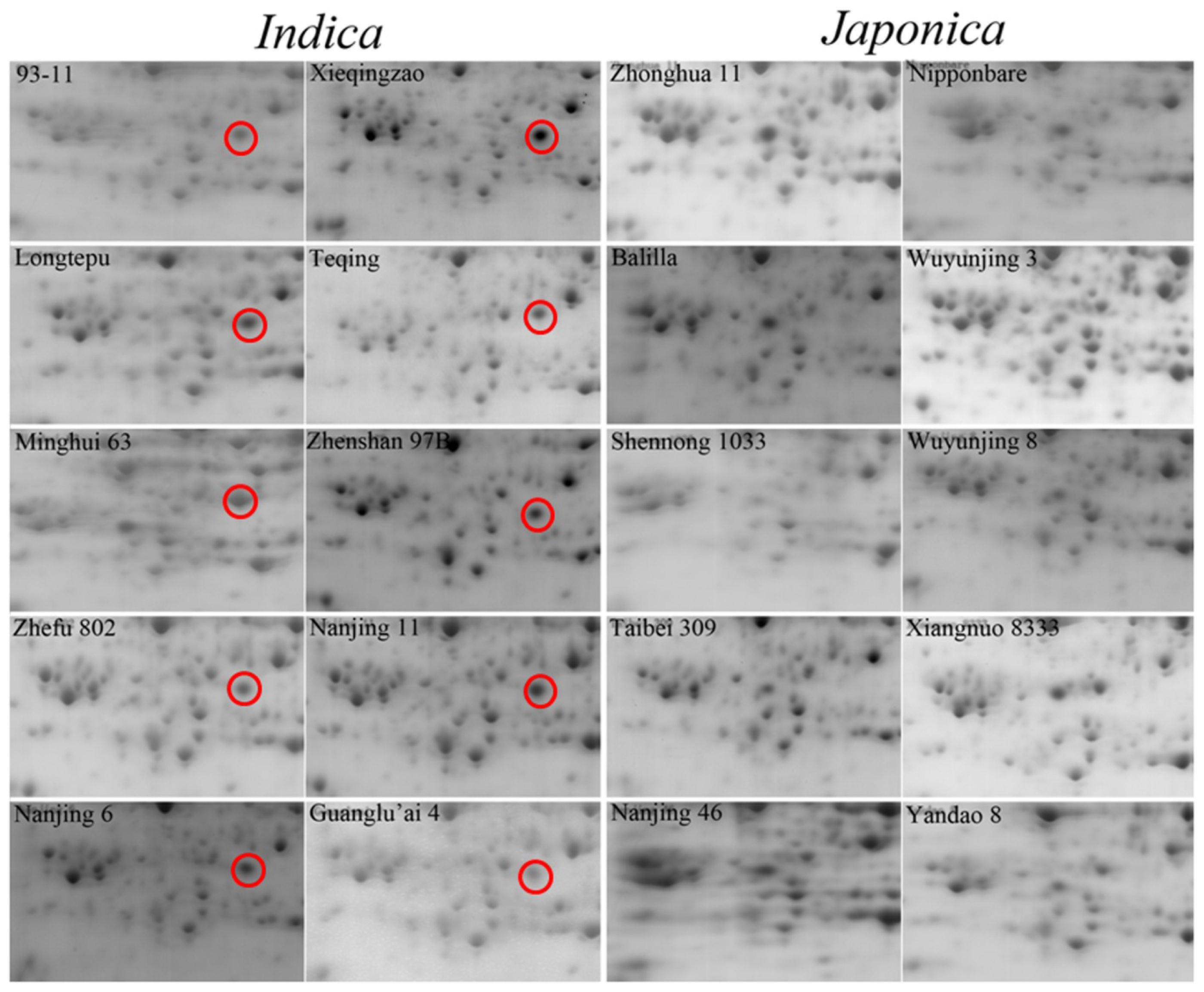 Ijms 15 07332f2 1024