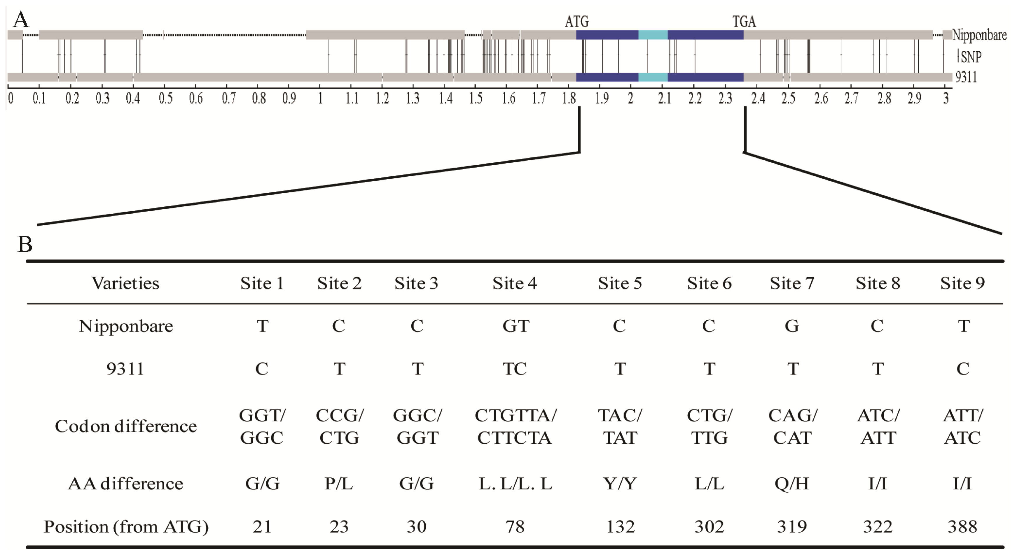 Ijms 15 07332f4 1024