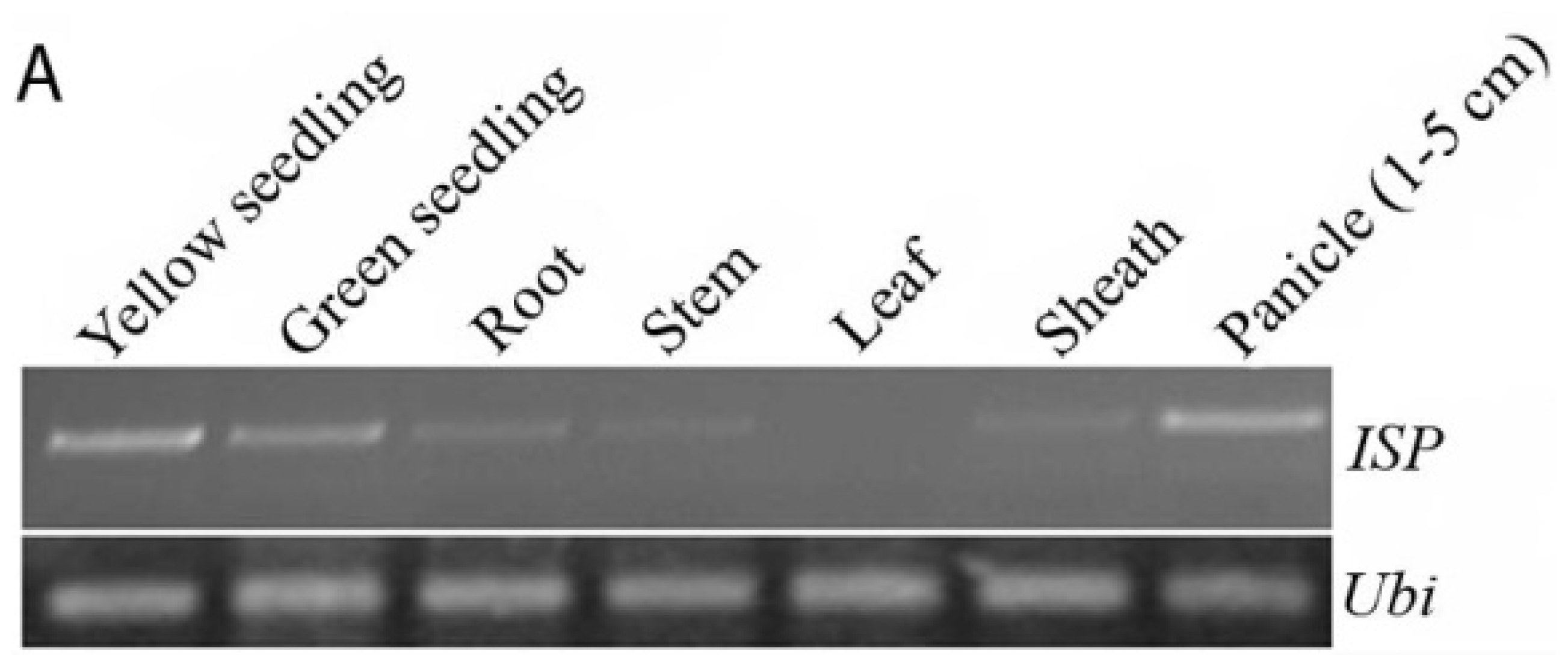 Ijms 15 07332f5a 1024