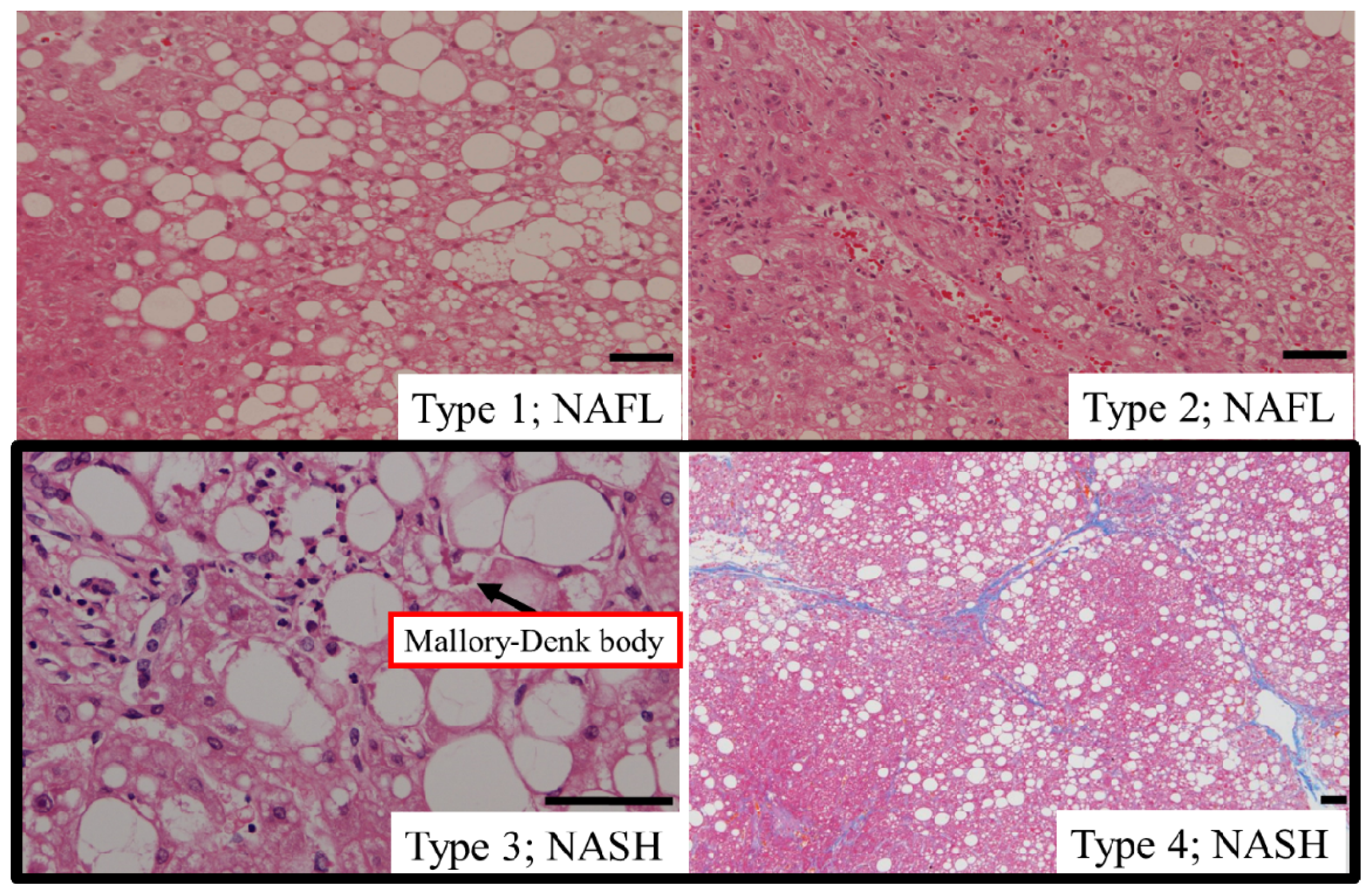 Ijms 15 07352f1 1024