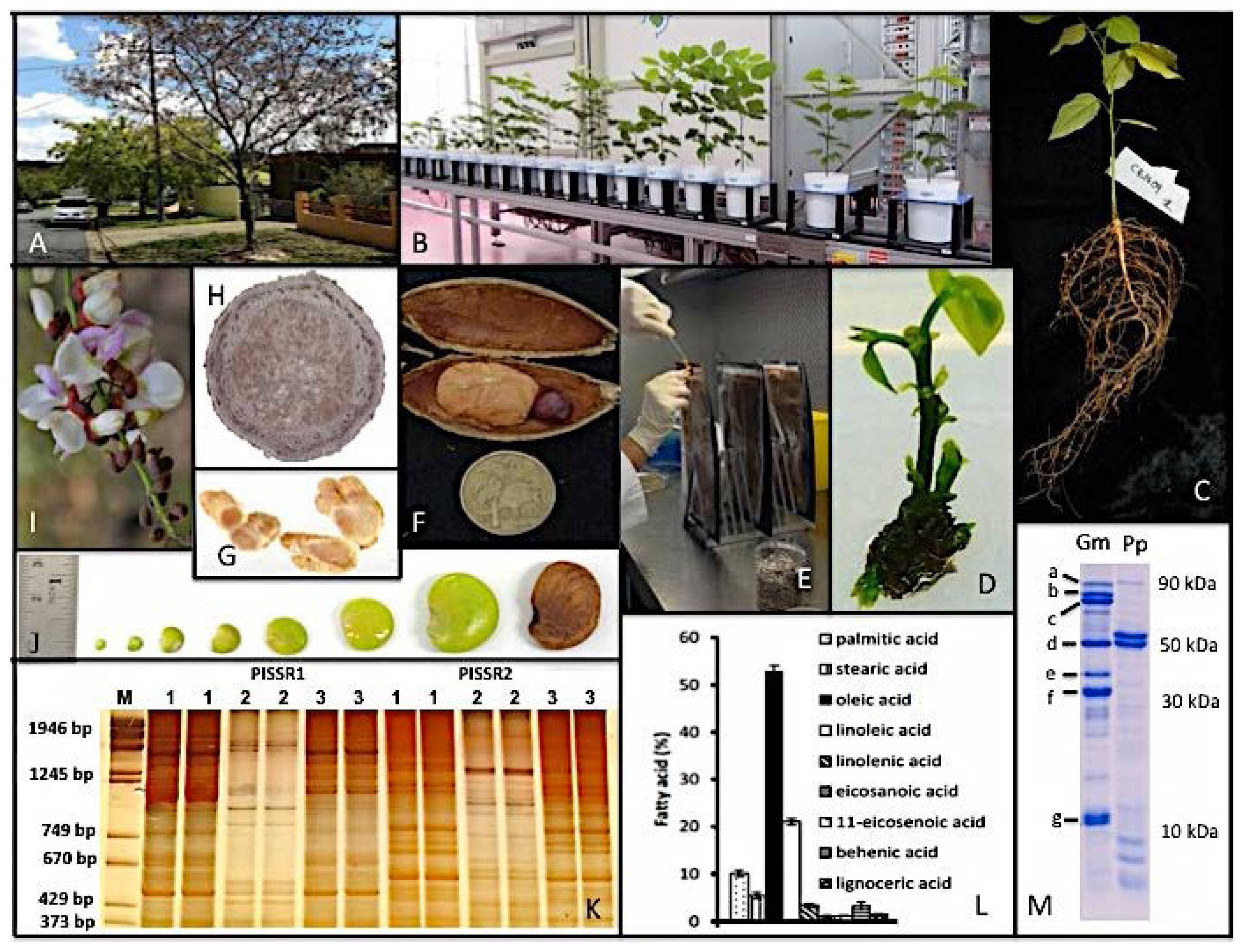 Ijms 15 07380f4 1024