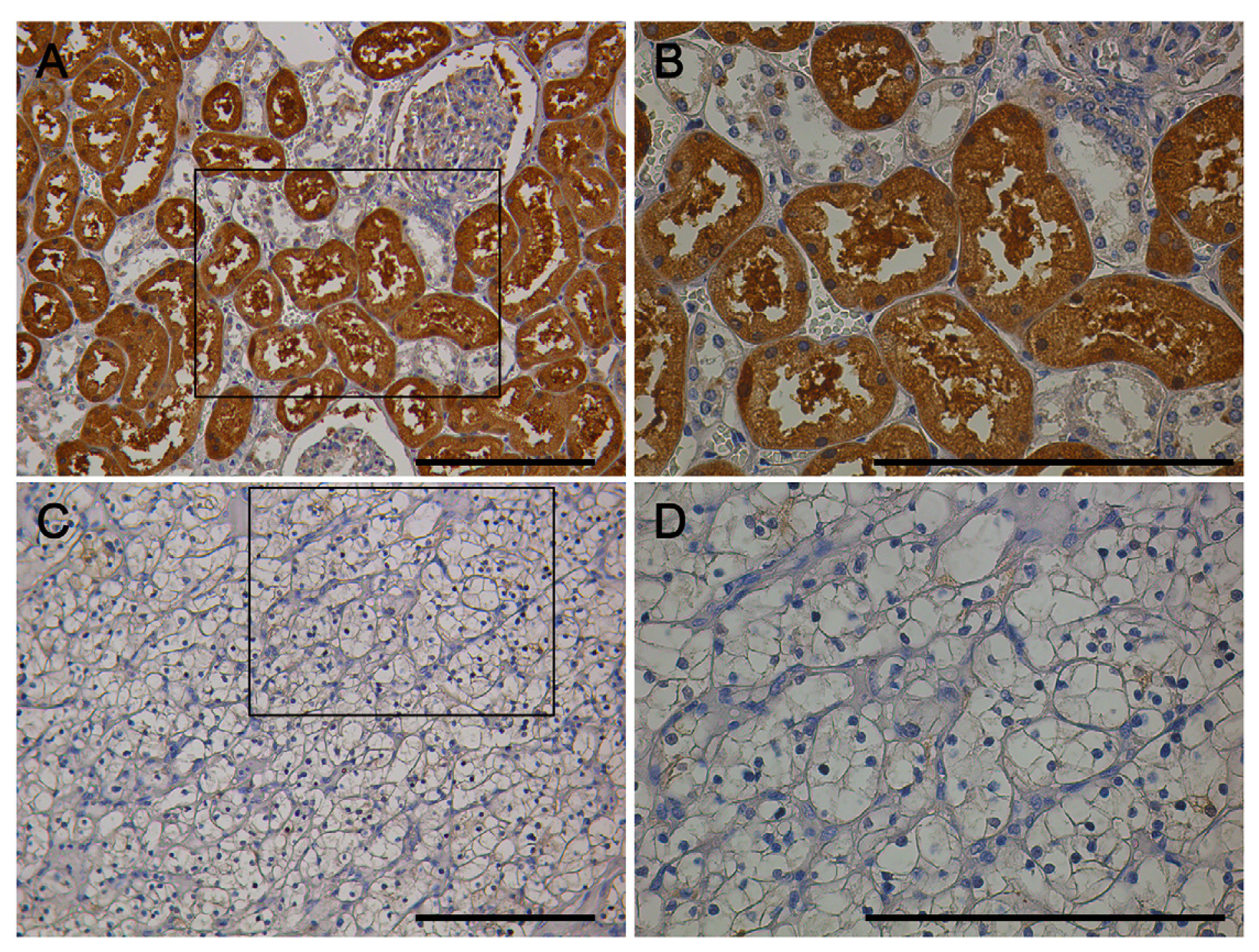 Ijms 15 07398f1 1024