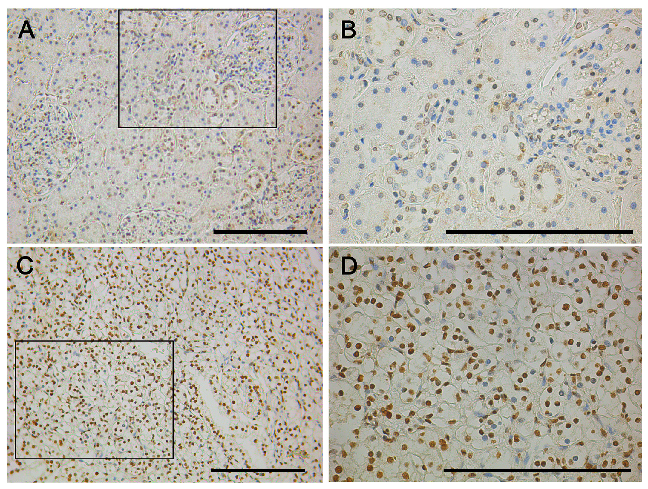 Ijms 15 07398f2 1024