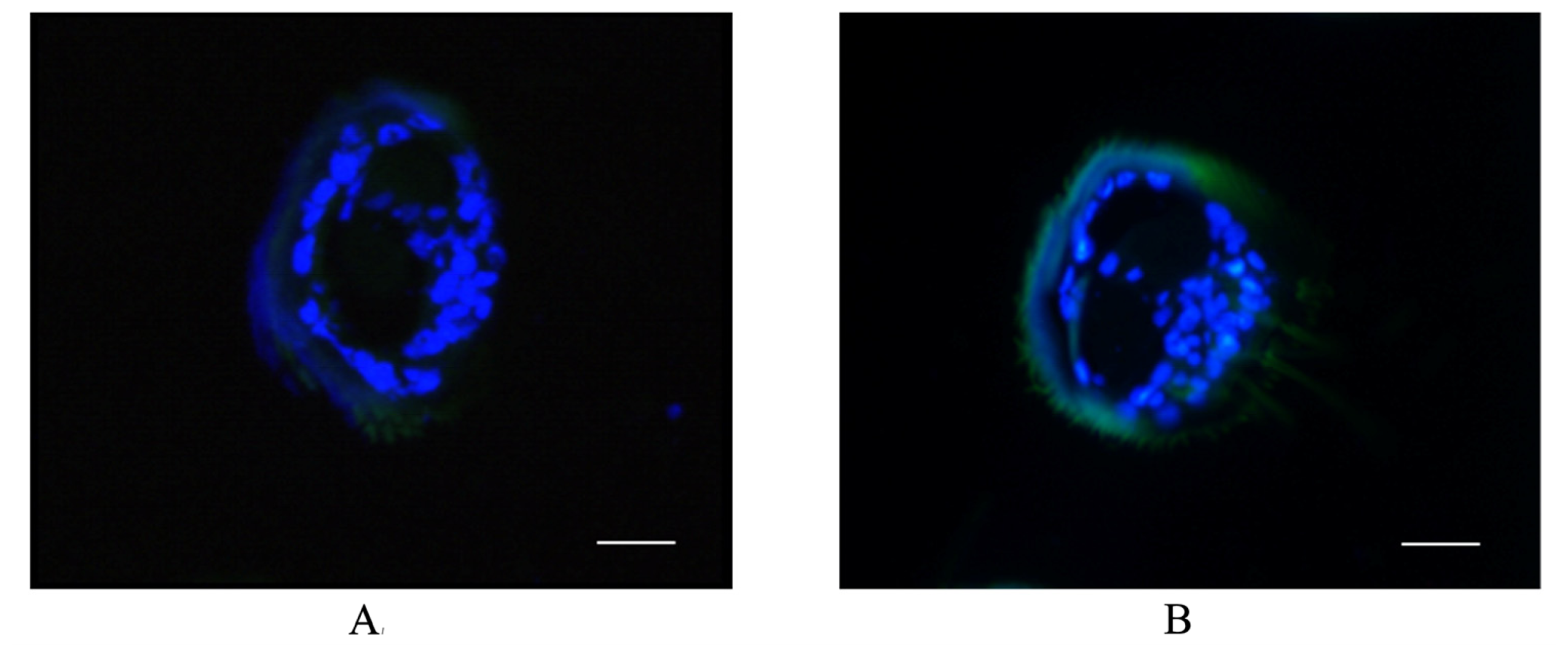 Ijms 15 07429f6 1024