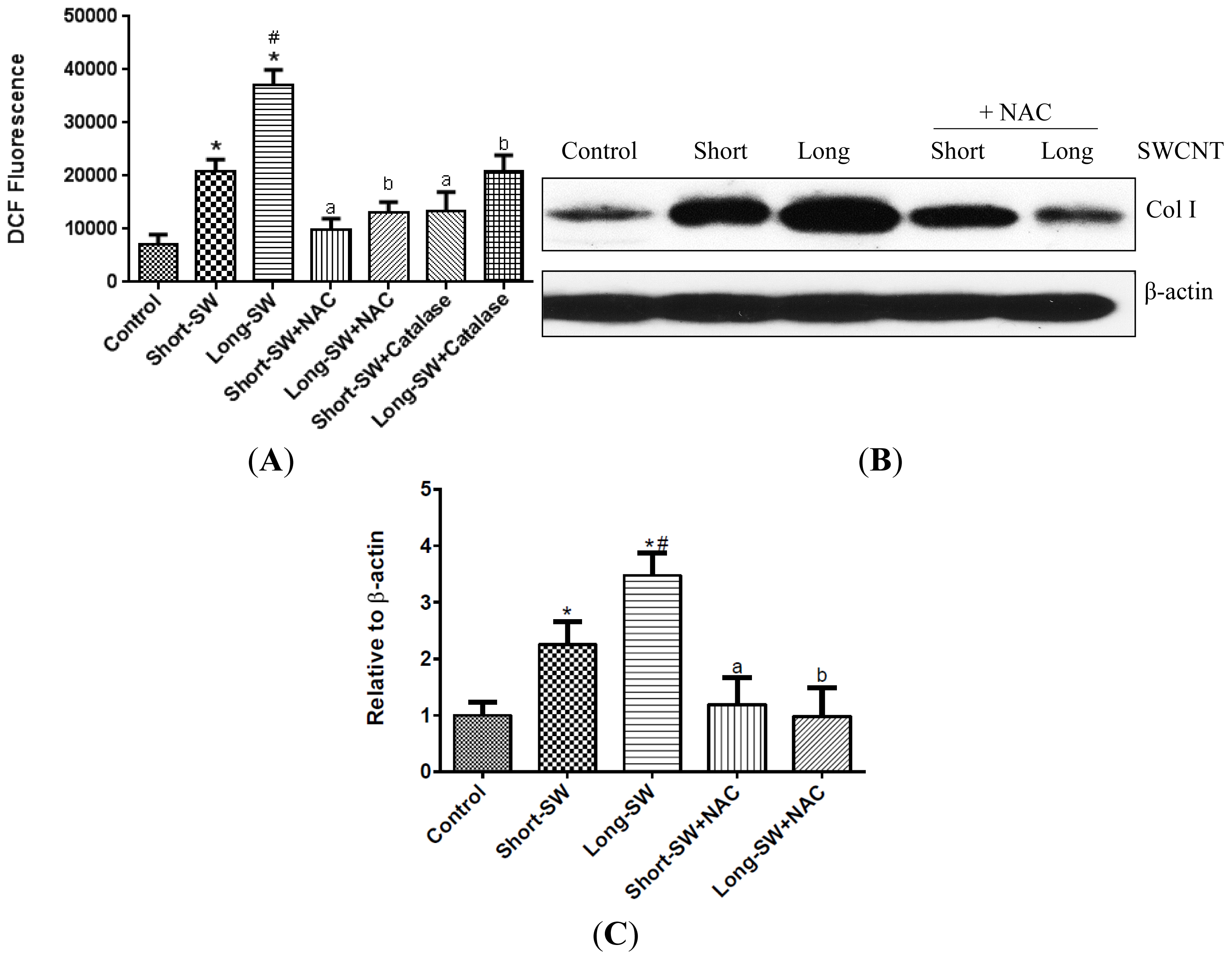 Ijms 15 07444f2 1024