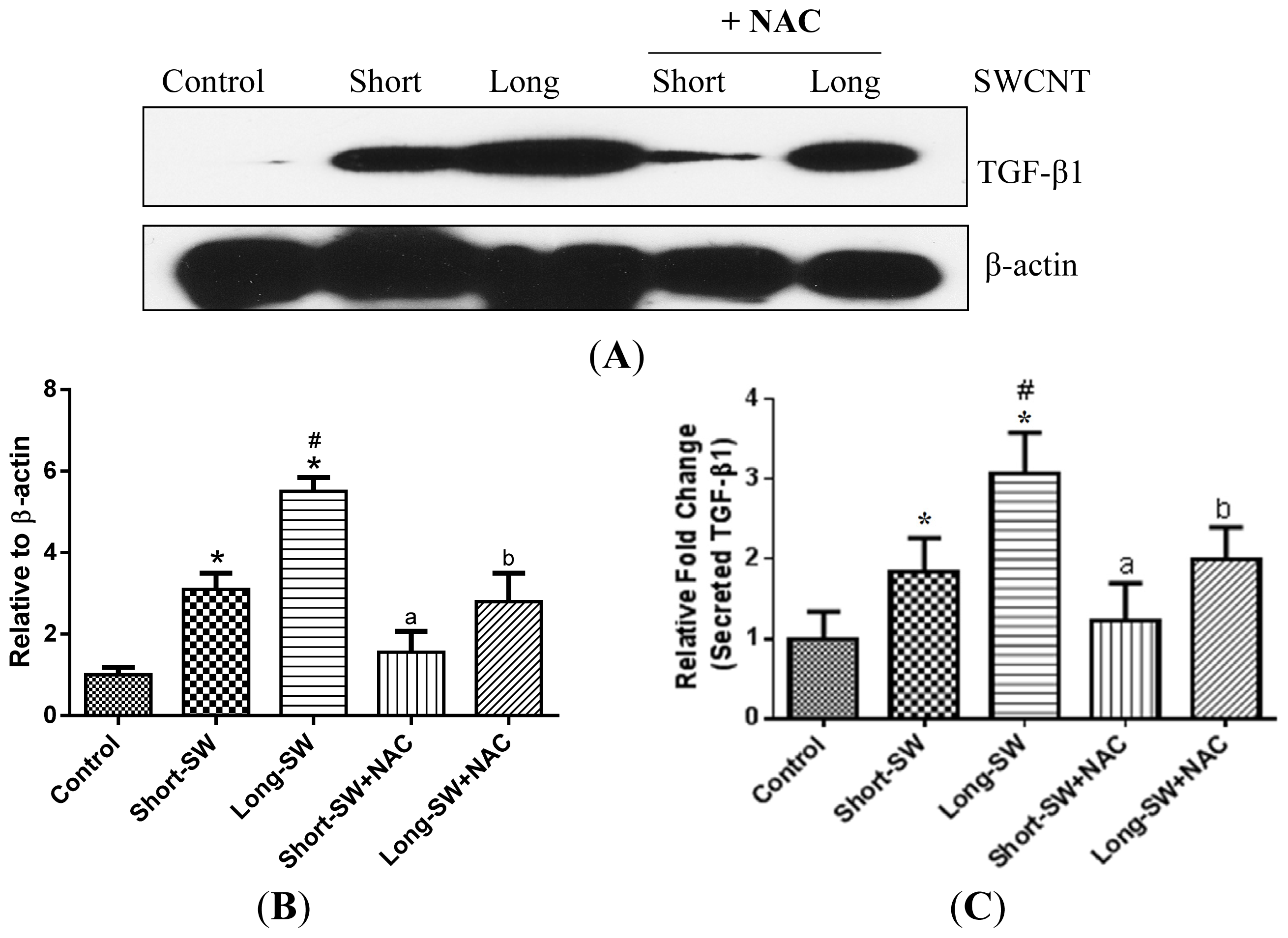 Ijms 15 07444f4 1024