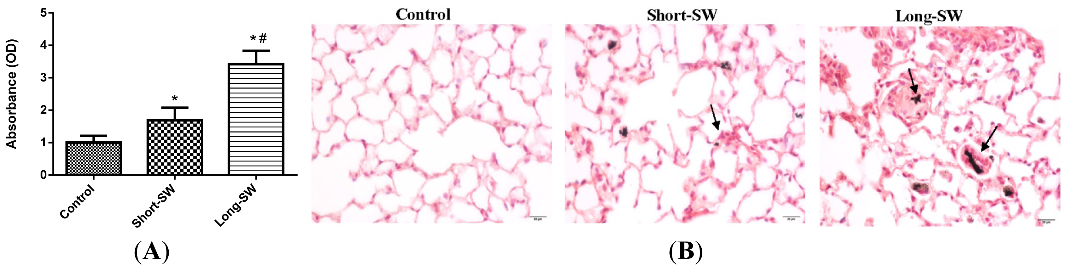 Ijms 15 07444f5 1024