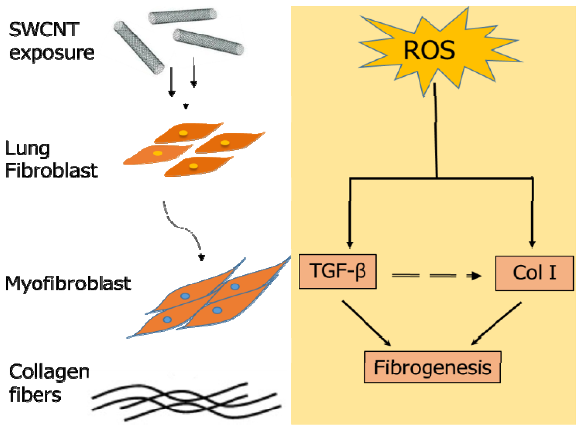 Ijms 15 07444f6 1024