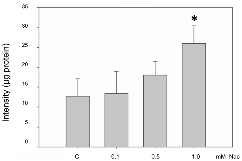 n-acetylcysteine increases glutathione levels Topical N-Acetylcysteine Accelerates Wound Healing in Vitro and in Vivo via the PKC/Stat3 Pathway