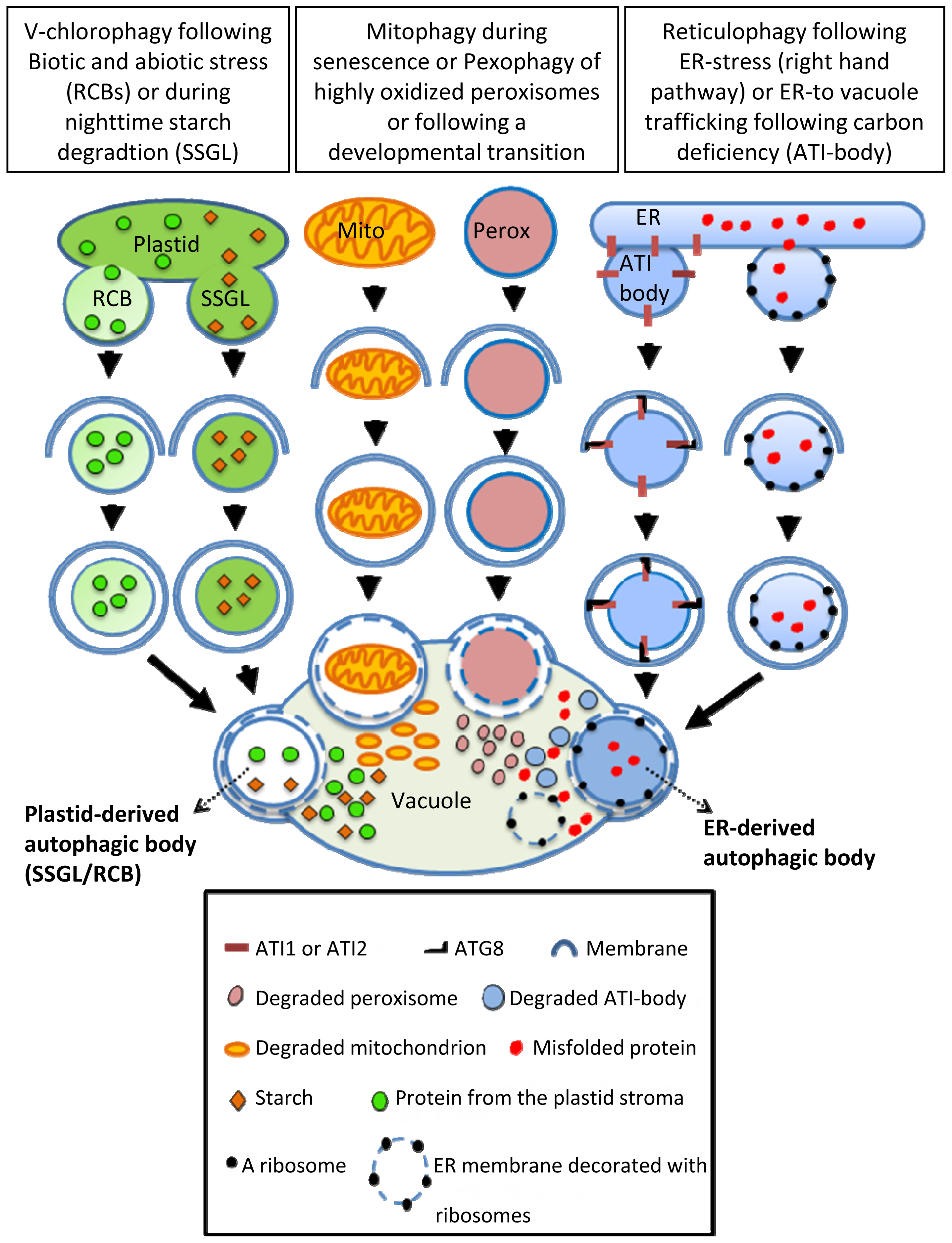 Ijms 15 07624f3 1024