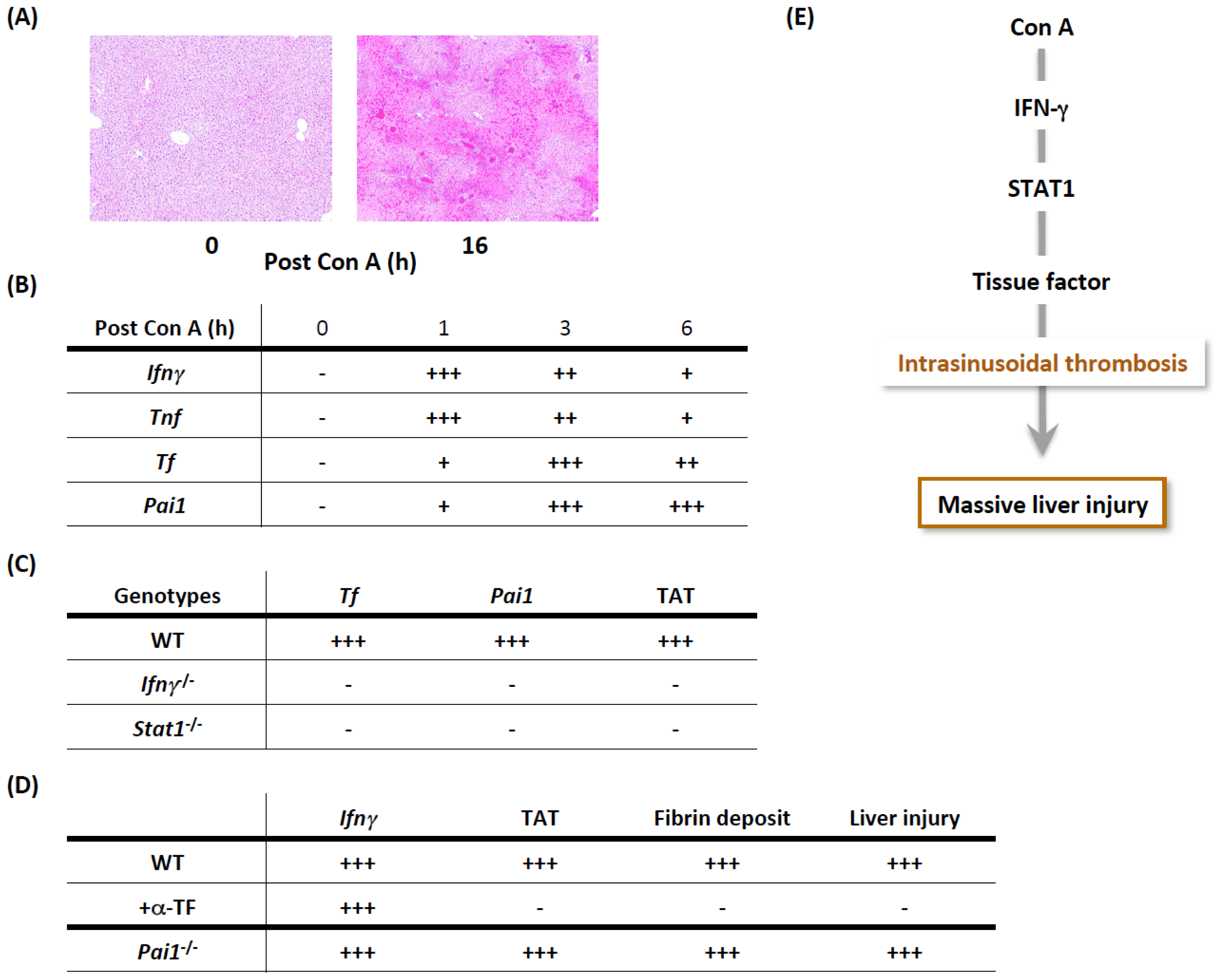 Ijms 15 07711f5 1024