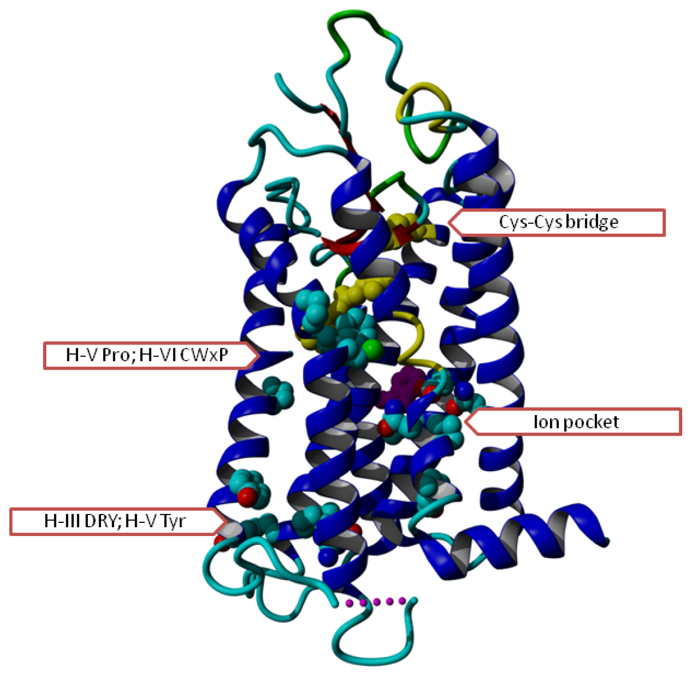 Ijms 15 07841f1