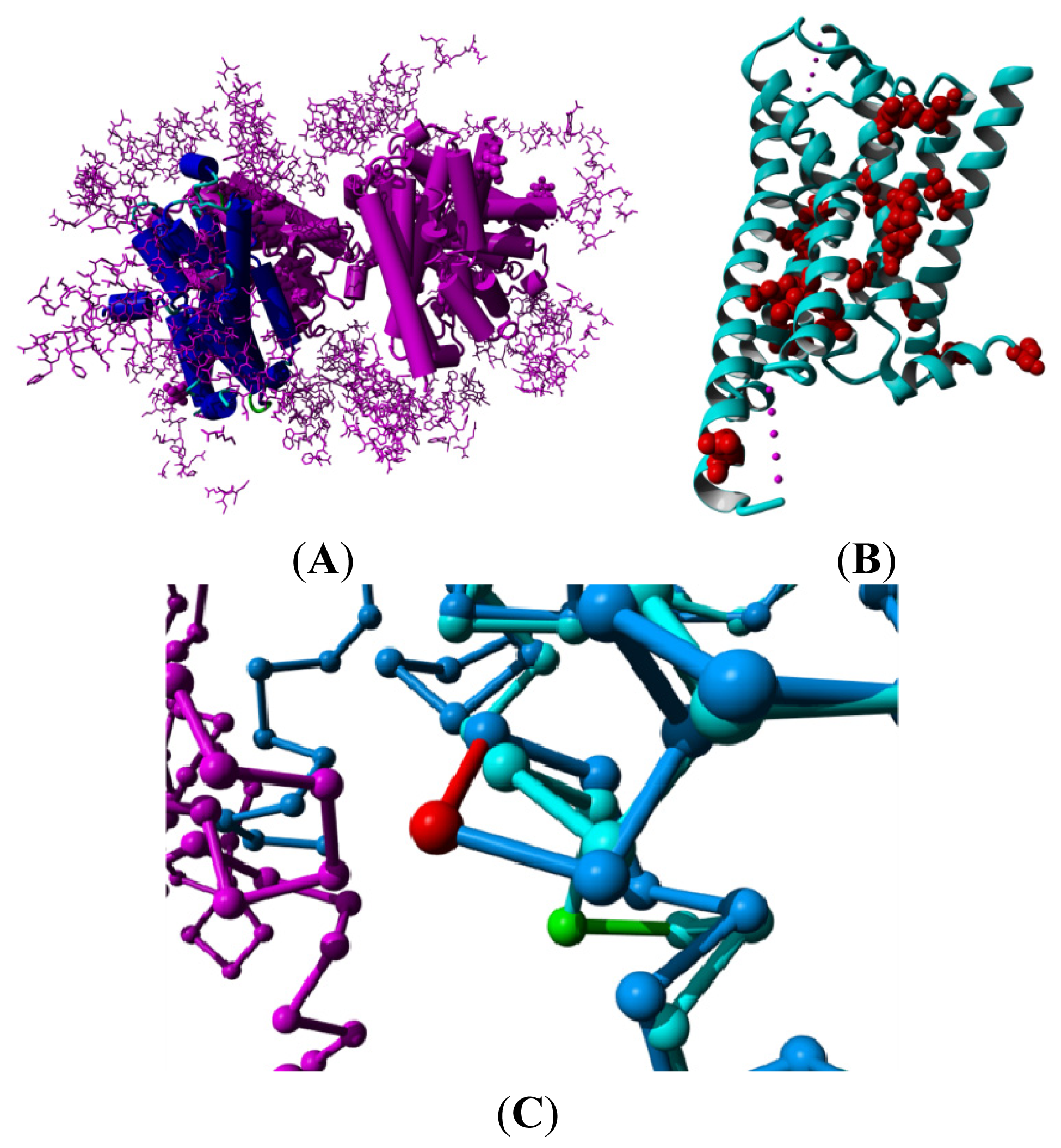 Ijms 15 07841f2