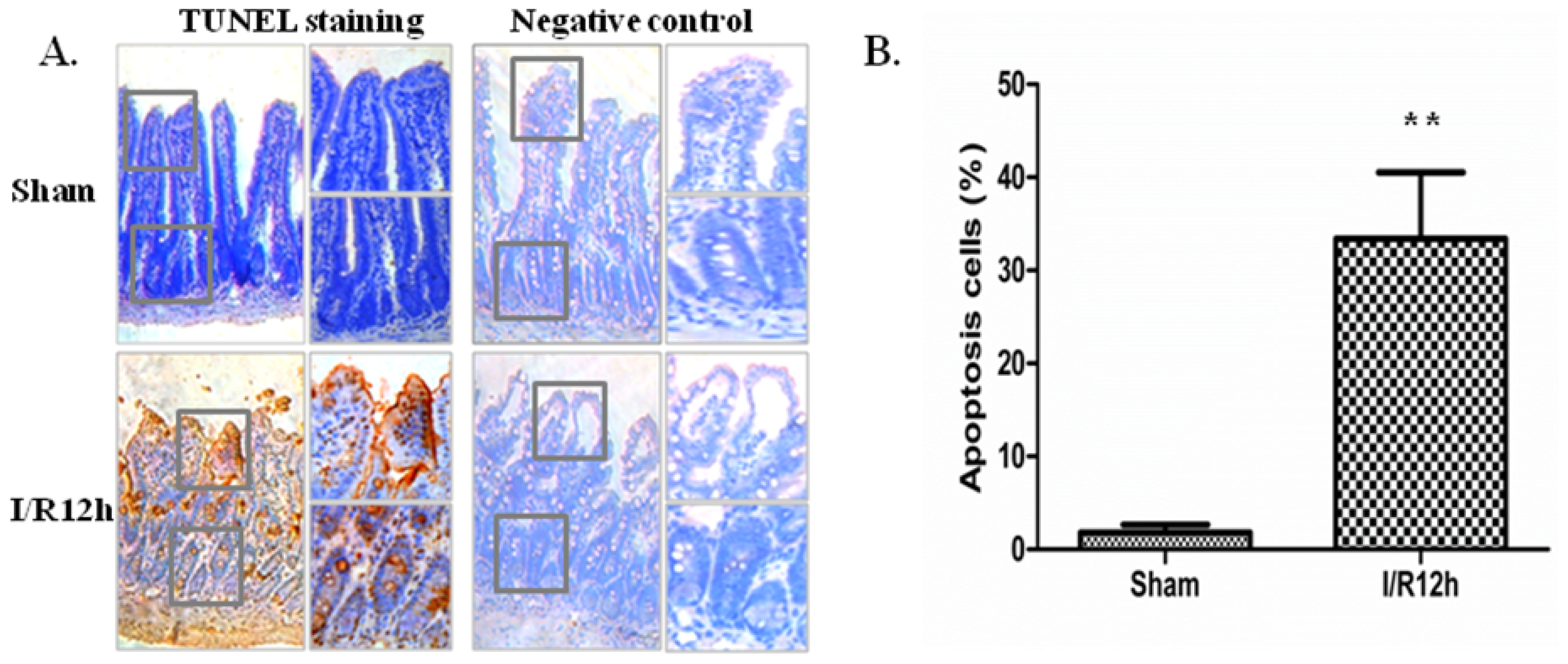 Ijms 15 07883f1 1024