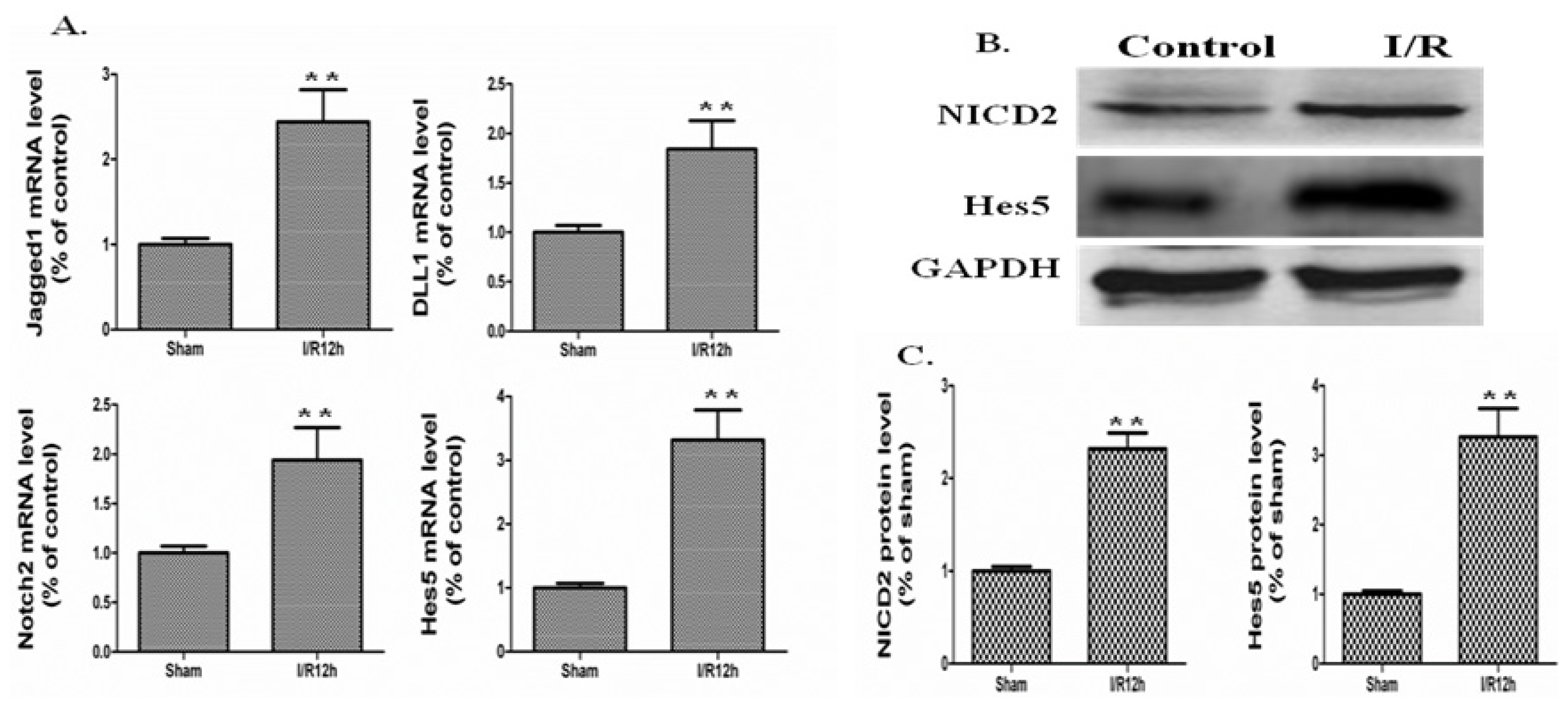 Ijms 15 07883f2 1024