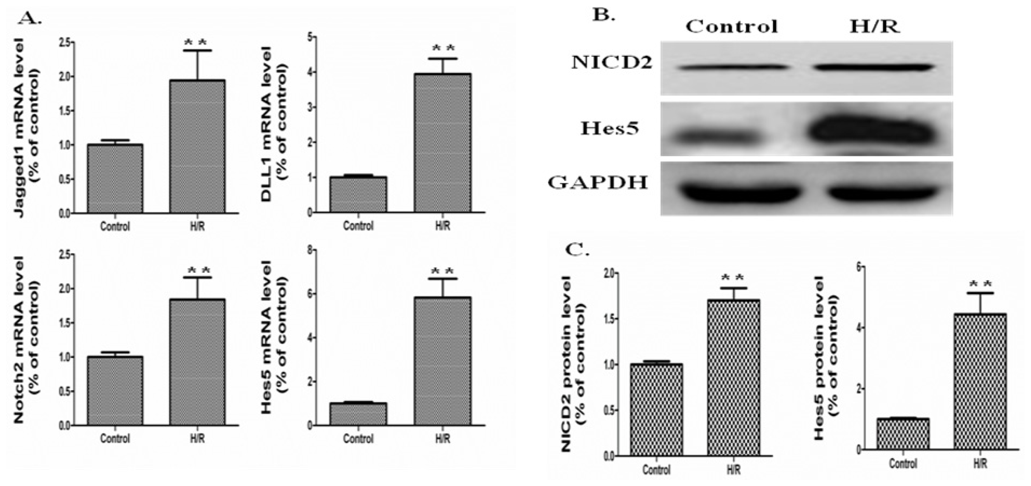 Ijms 15 07883f3 1024