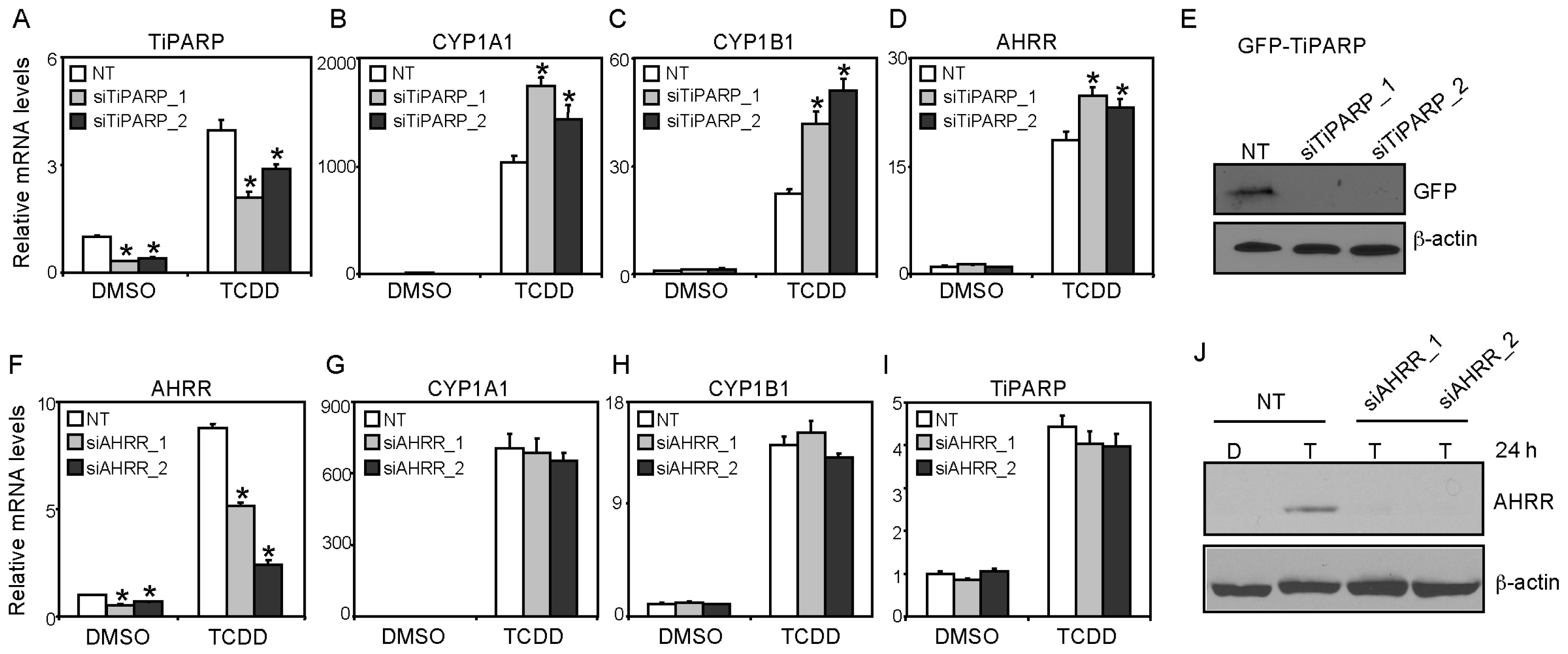 Ijms 15 07939f4 1024