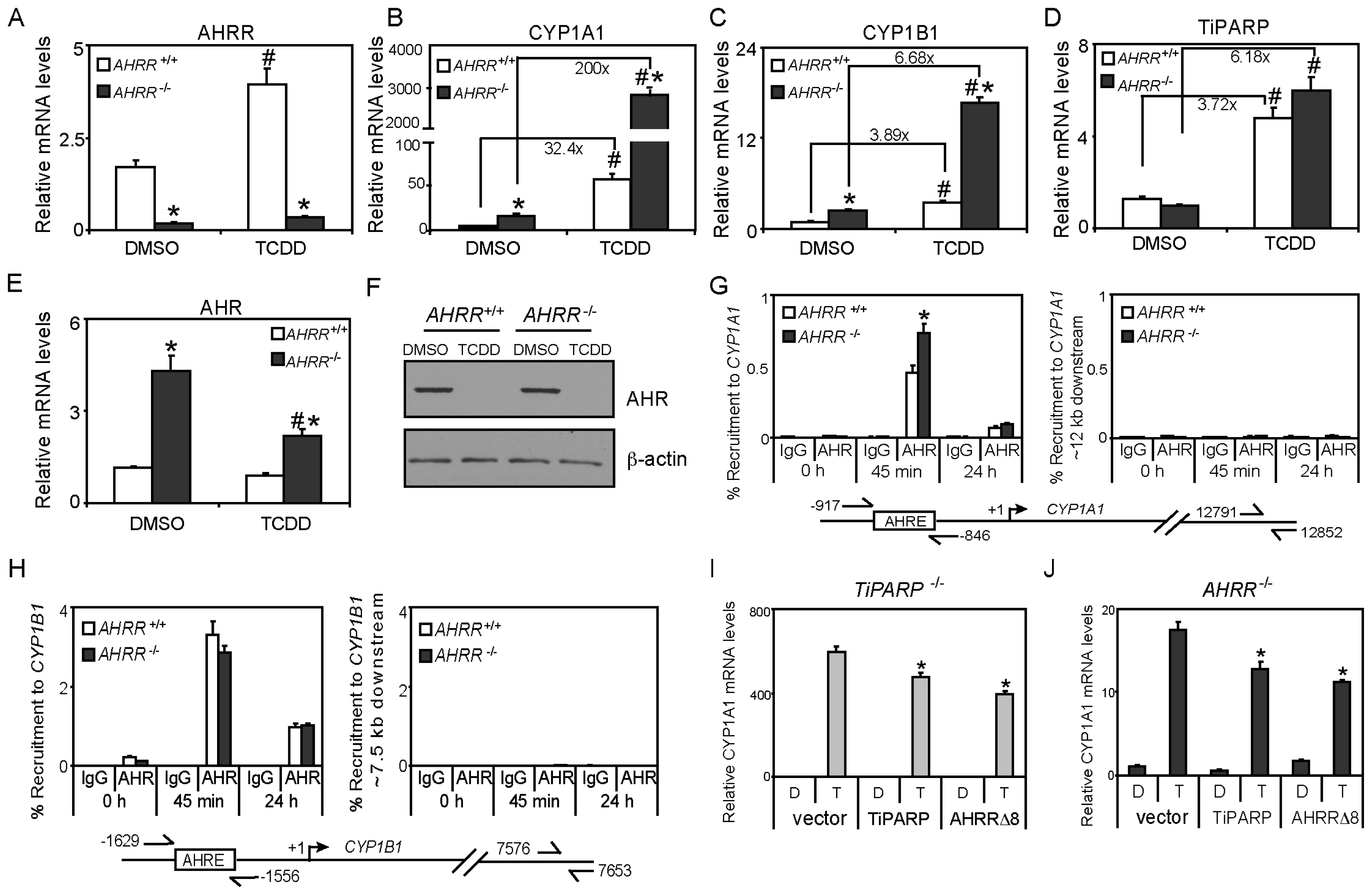 Ijms 15 07939f6 1024