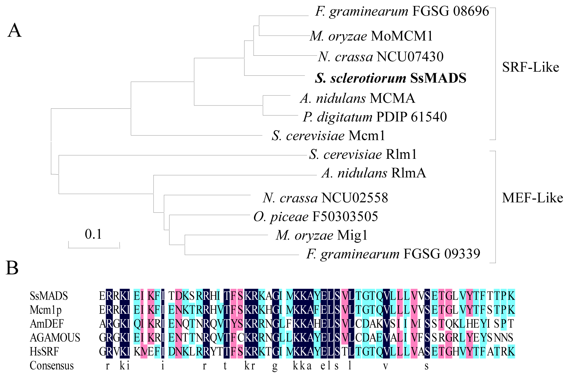 Ijms 15 08049f1 1024