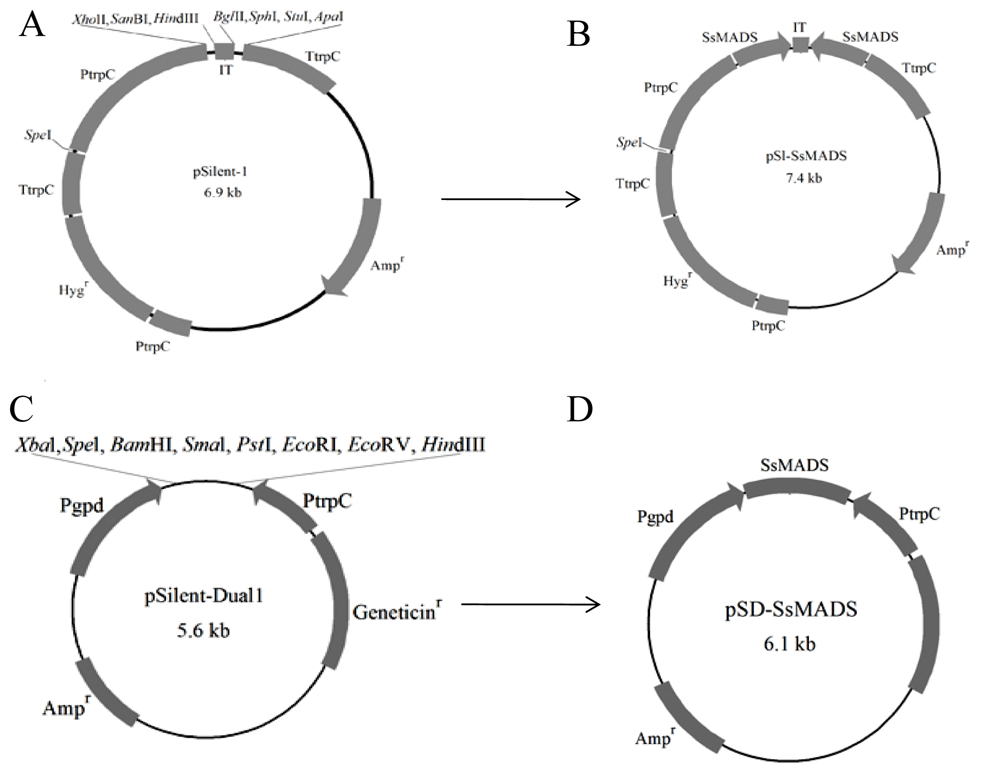 Ijms 15 08049f2 1024