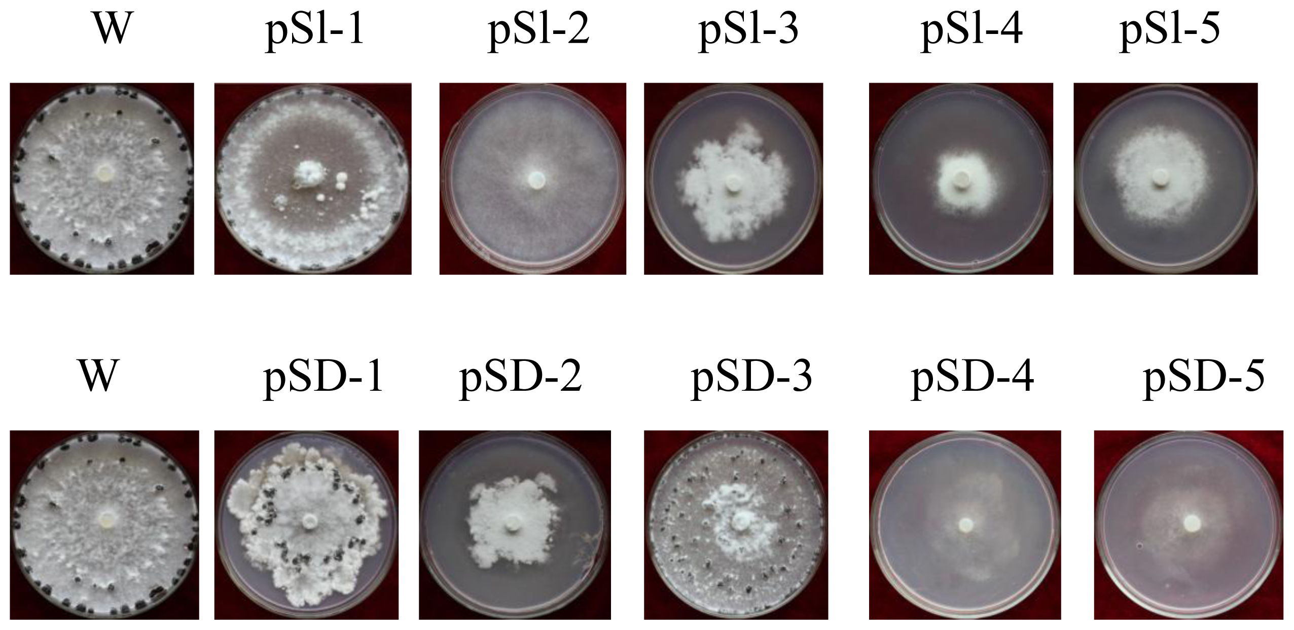 Ijms 15 08049f3 1024