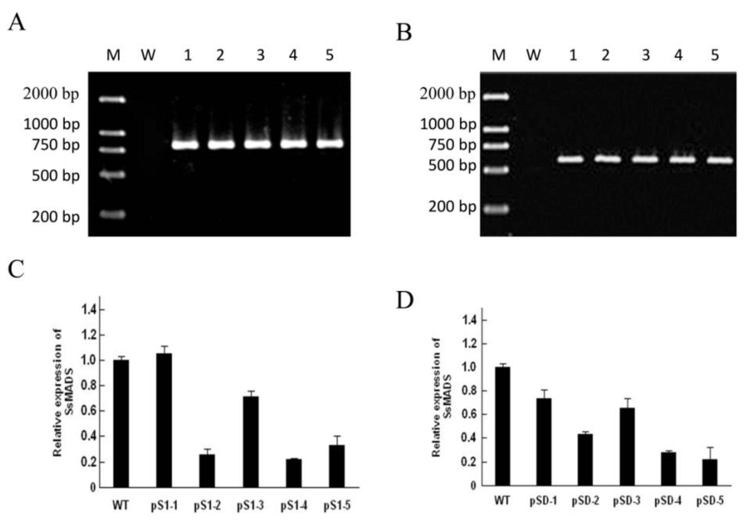 Ijms 15 08049f4 1024