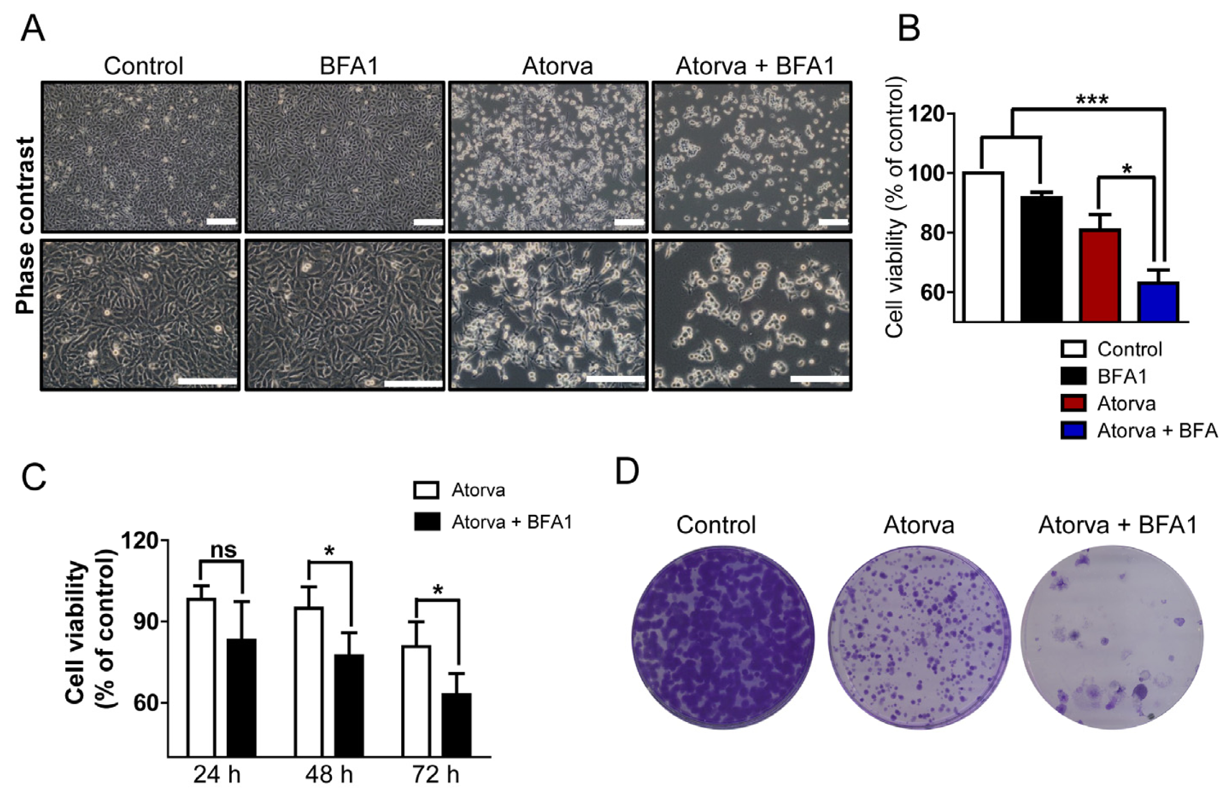 Ijms 15 08106f3a 1024