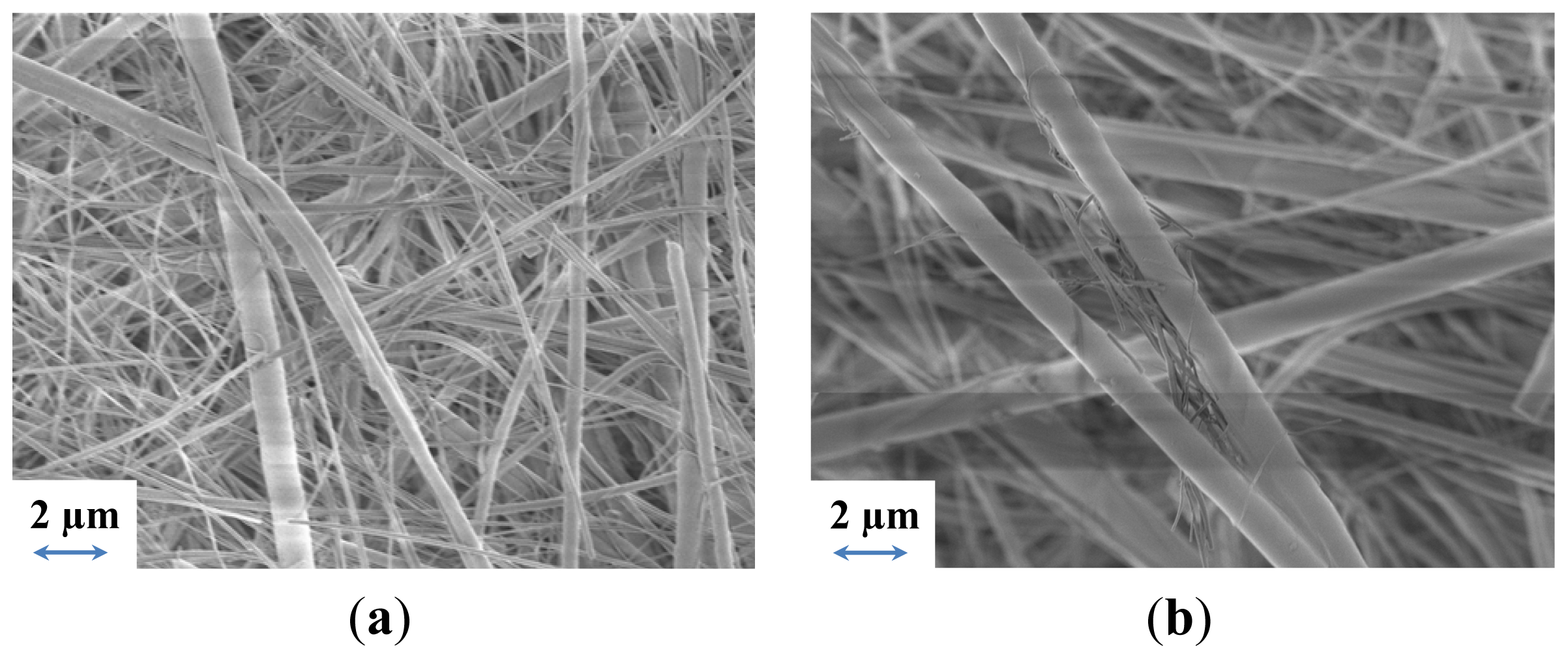 Ijms 15 08122f7 1024