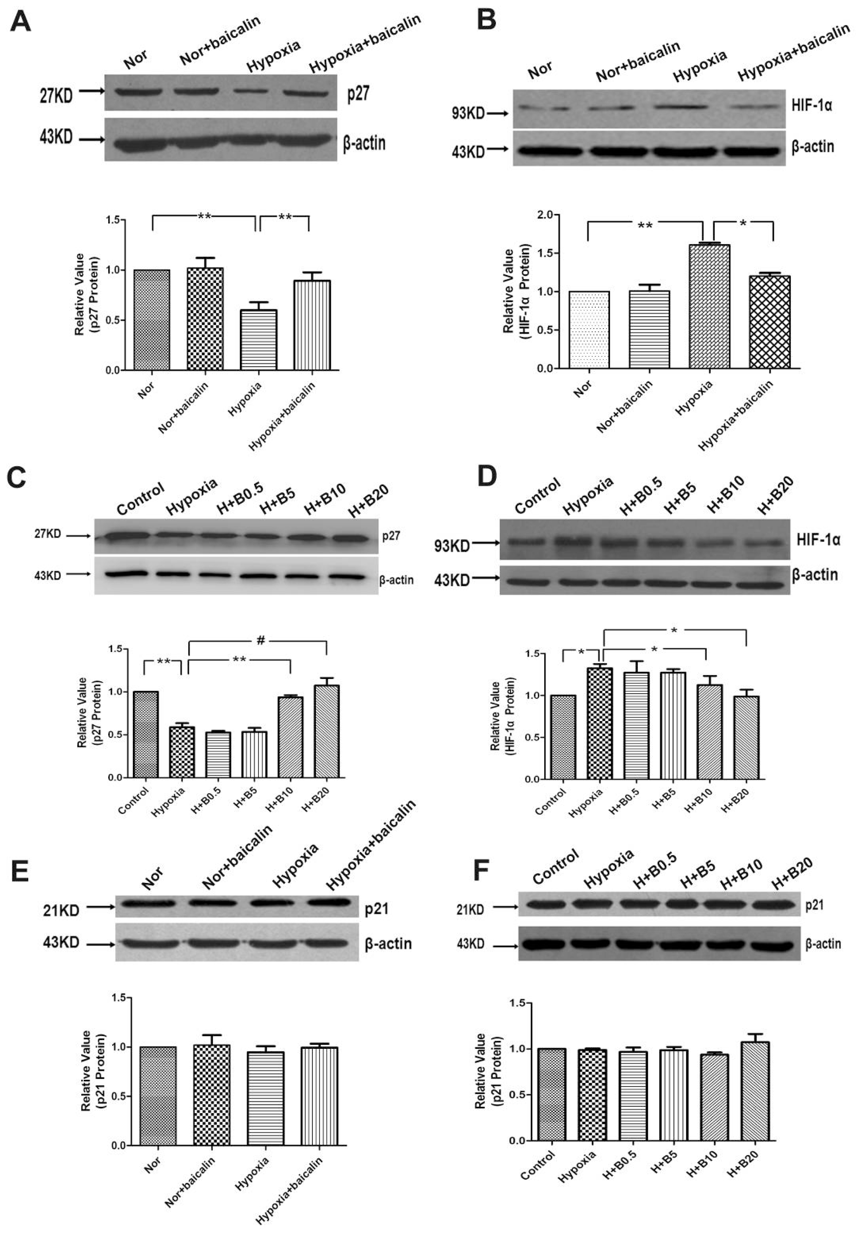 Ijms 15 08153f2 1024