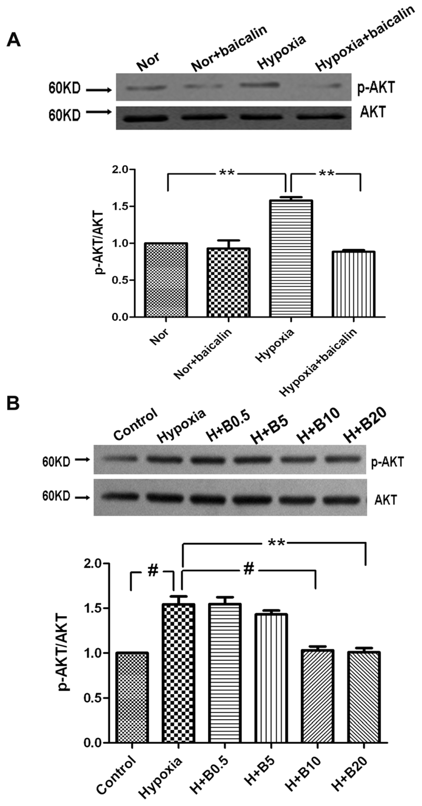 Ijms 15 08153f3 1024