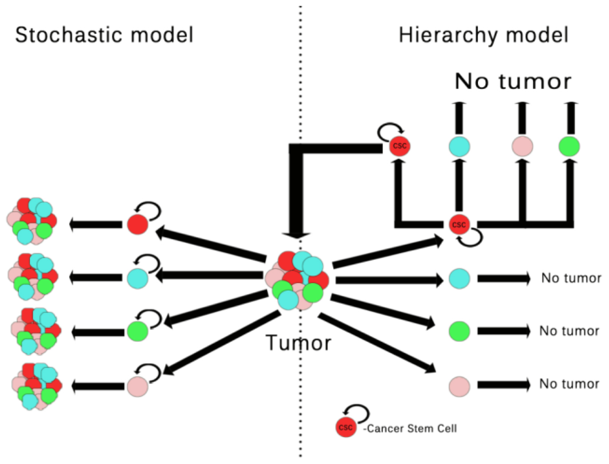Ijms 15 08169f1 1024