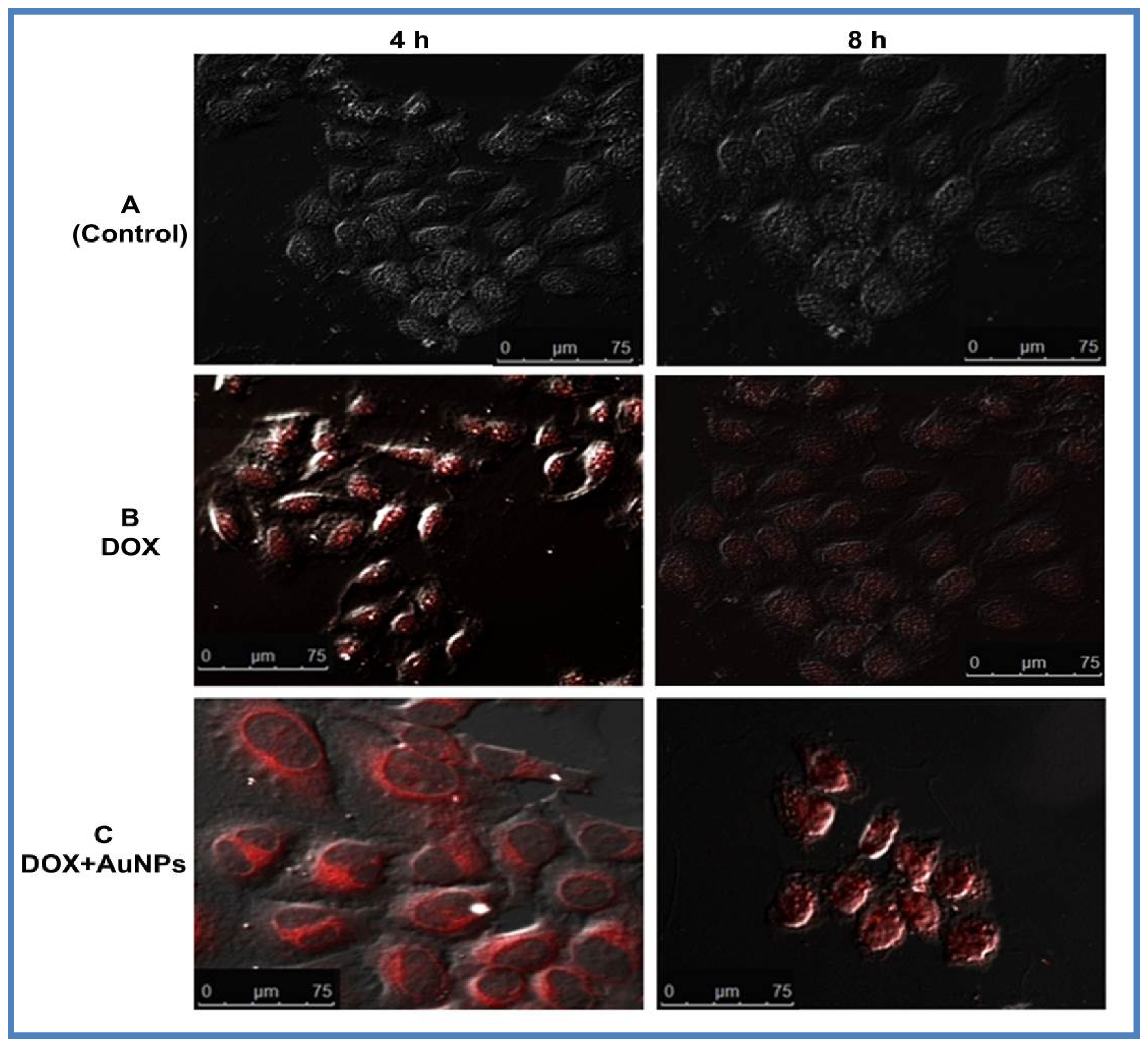 Ijms 15 08216f7 1024