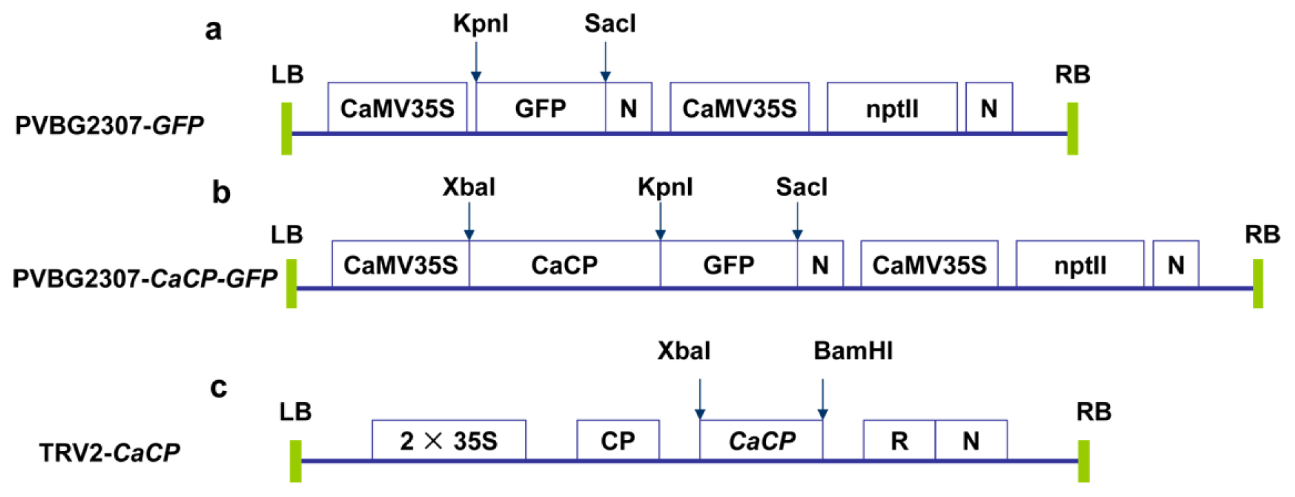 Ijms 15 08316f3