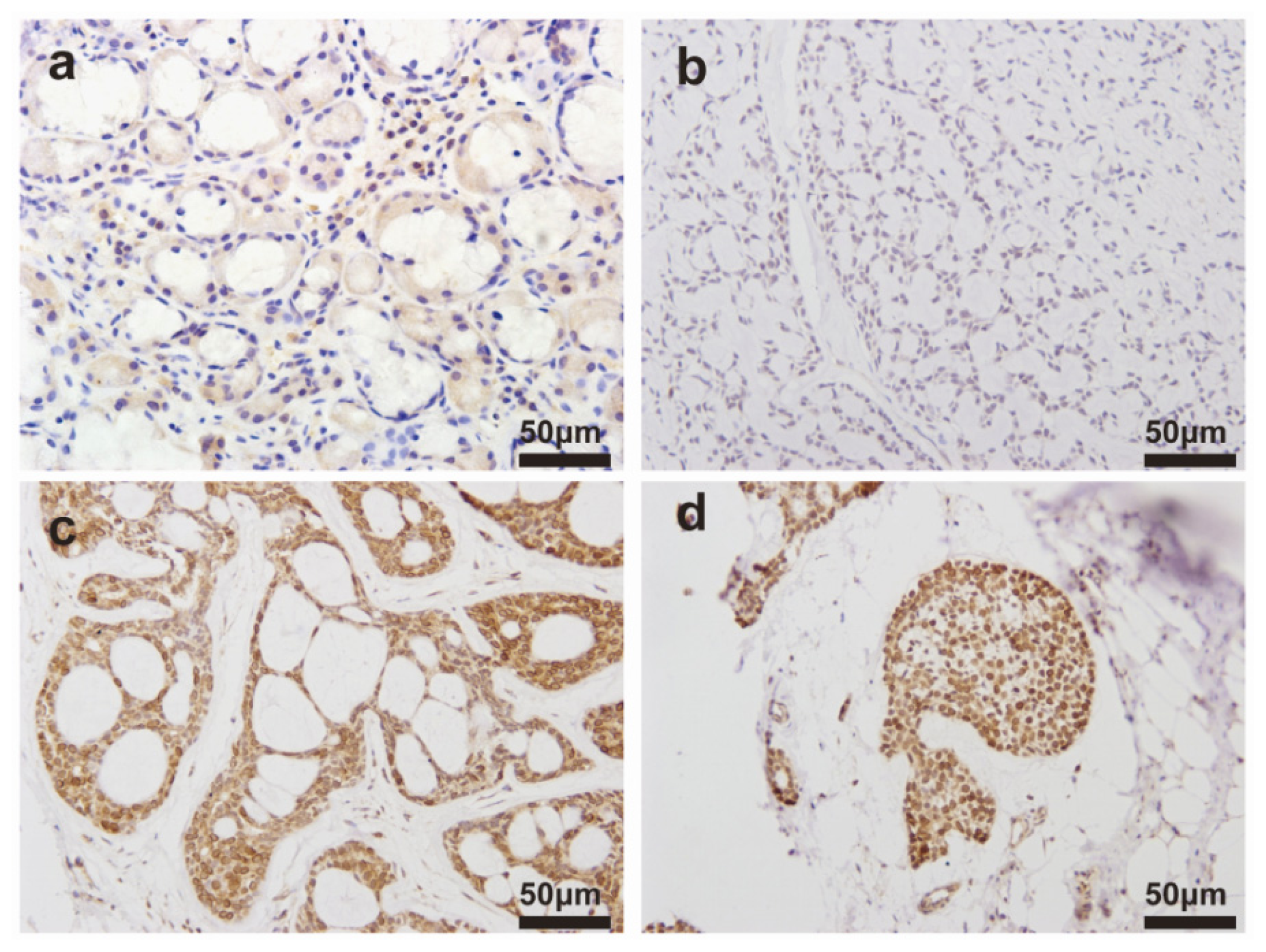 Ijms 15 08393f1 1024