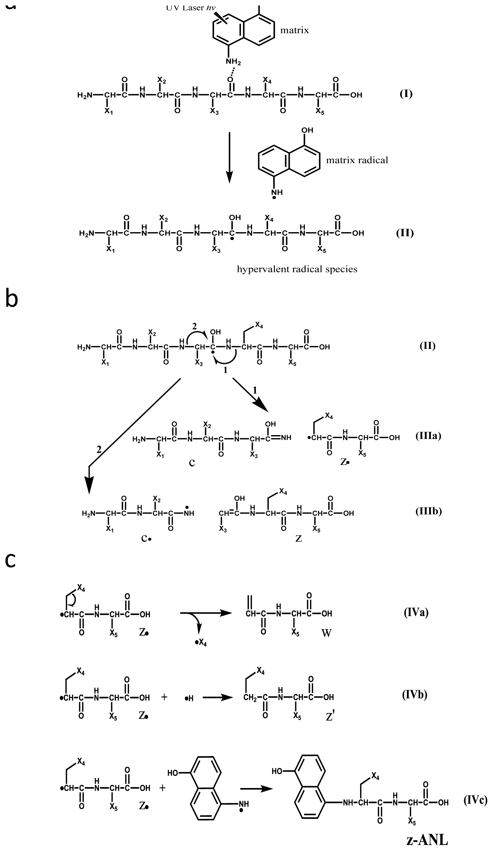 Ijms 15 08428f5 1024
