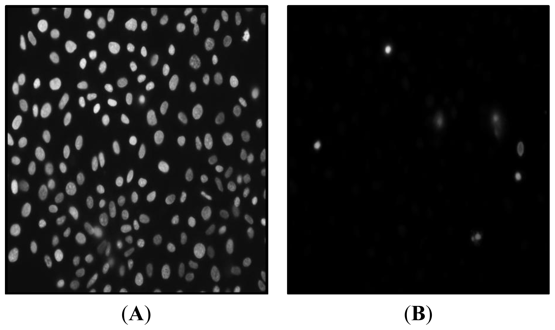 Ijms 15 08639f5 1024