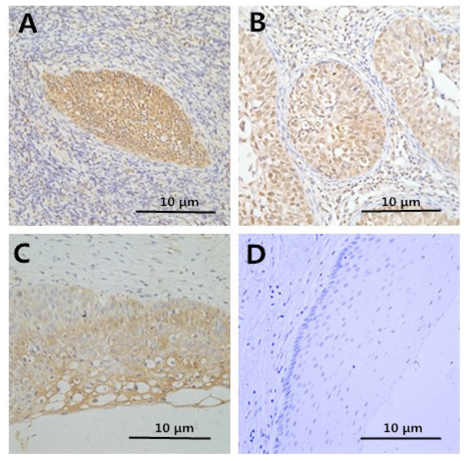 Ijms 15 08699f1 1024