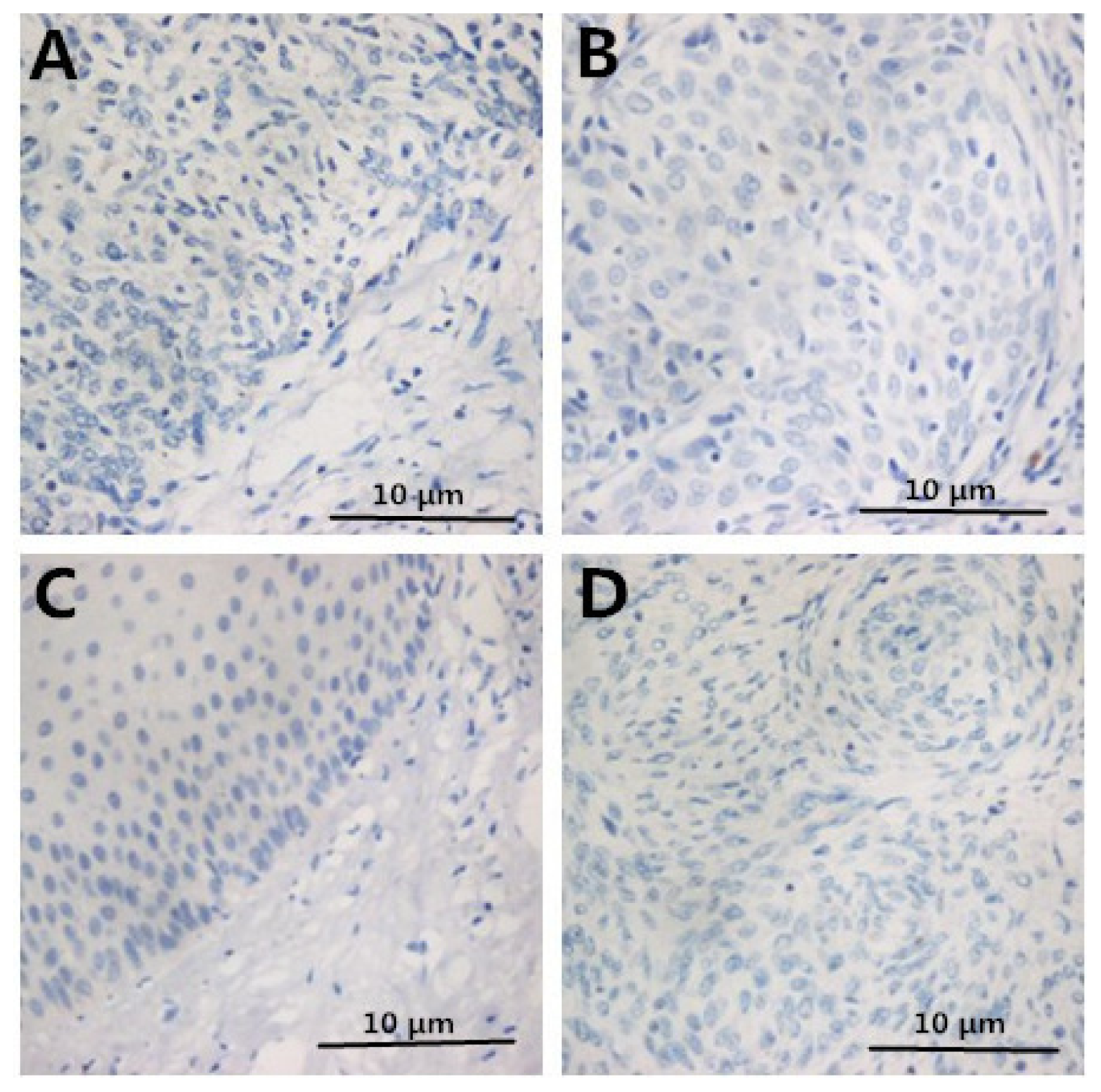 Ijms 15 08699f2 1024