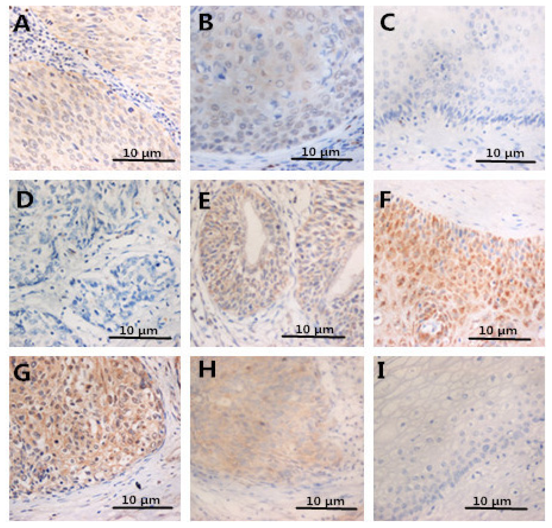 Ijms 15 08699f3 1024