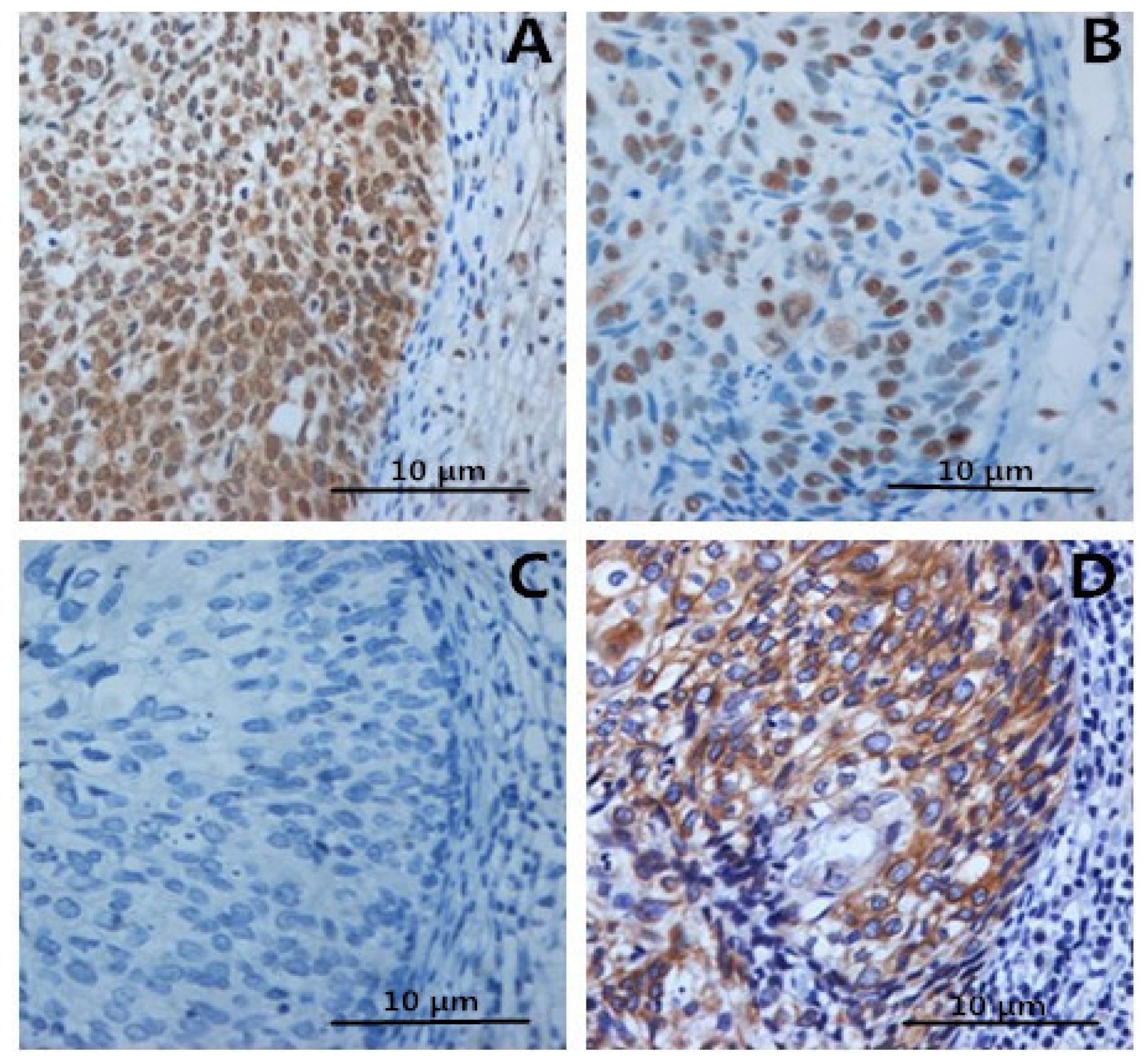 Ijms 15 08699f4 1024