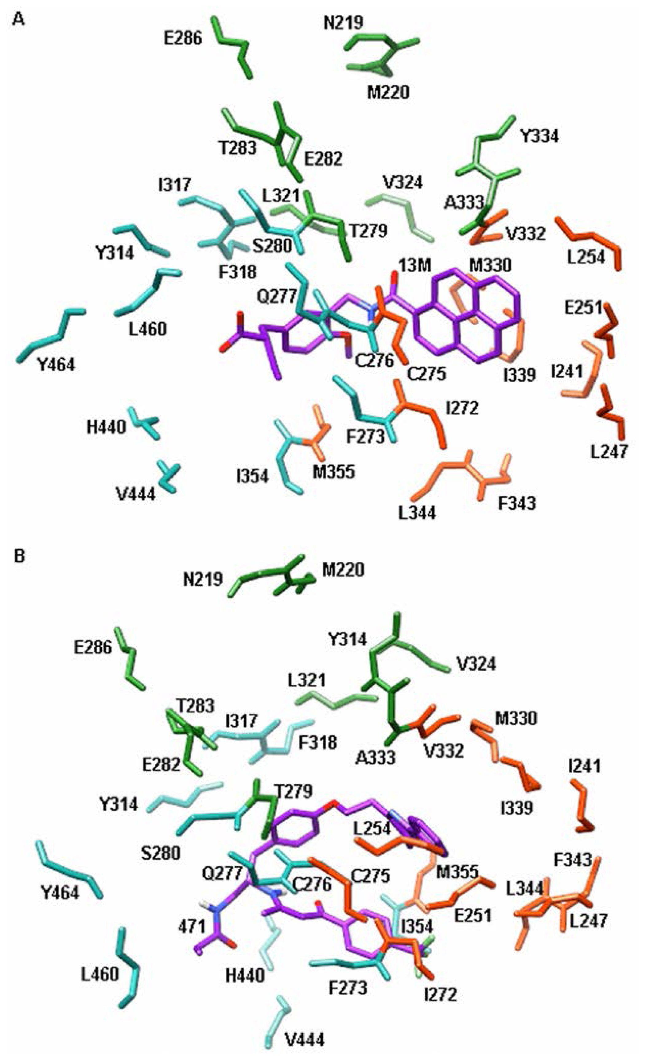 Ijms 15 08743f2 1024