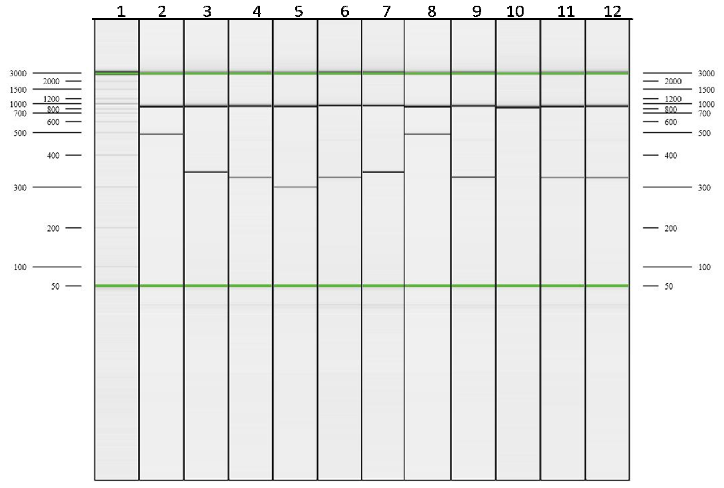 Ijms 15 08835f3 1024