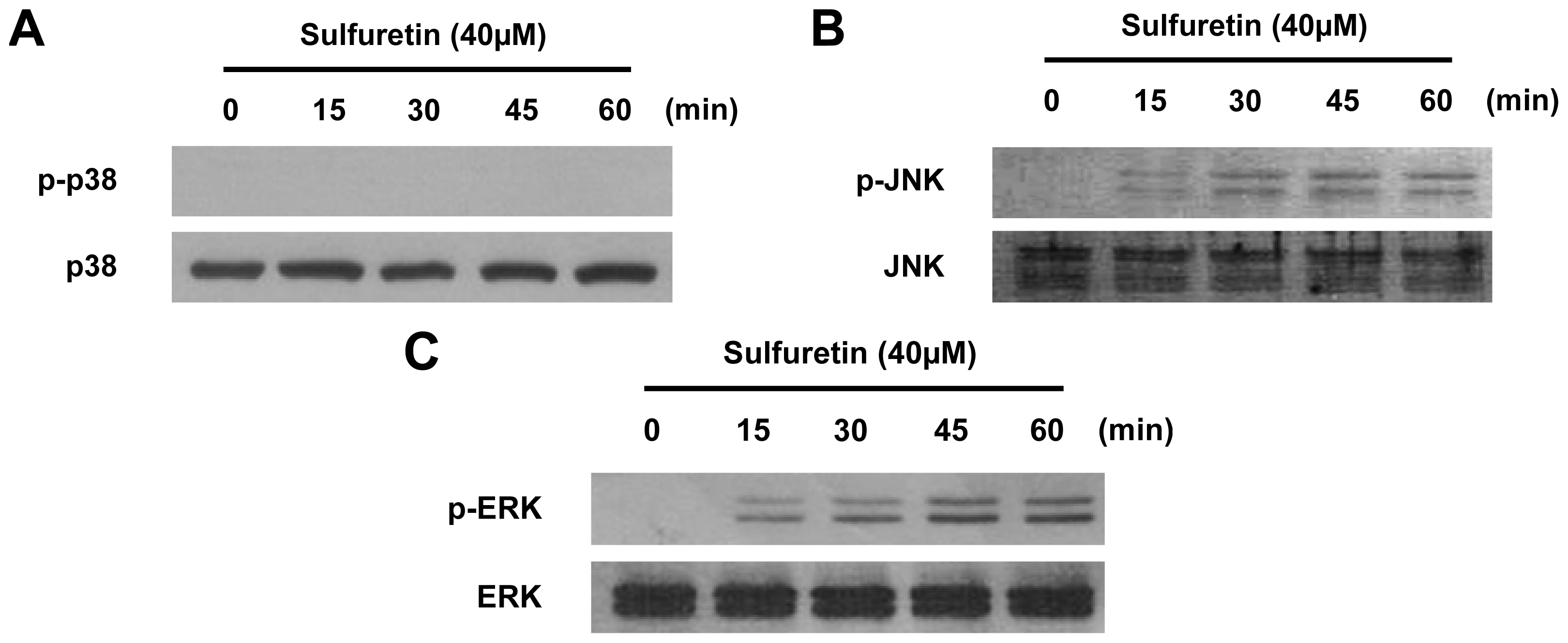 Ijms 15 08863f6