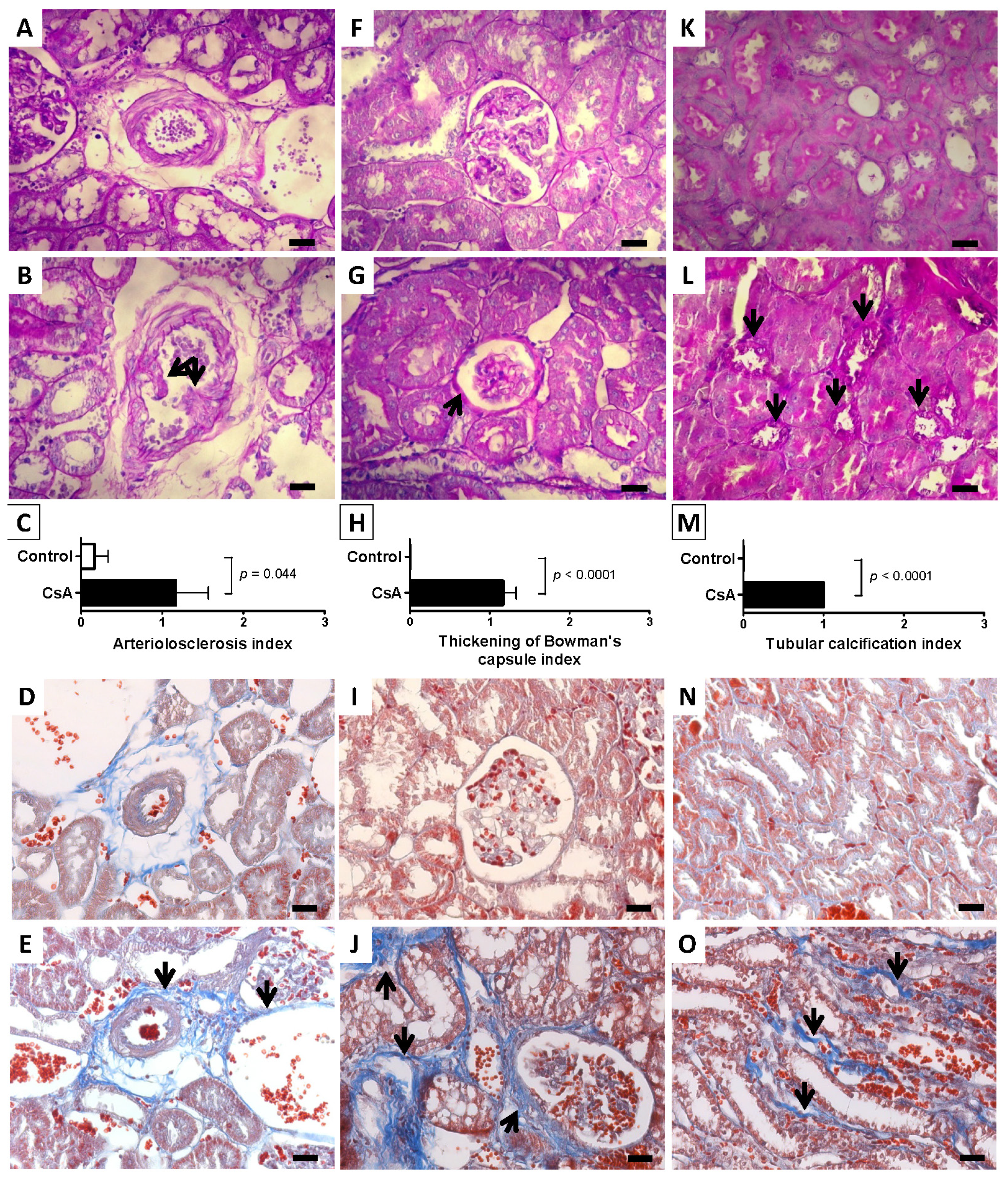 Ijms 15 08979f2 1024