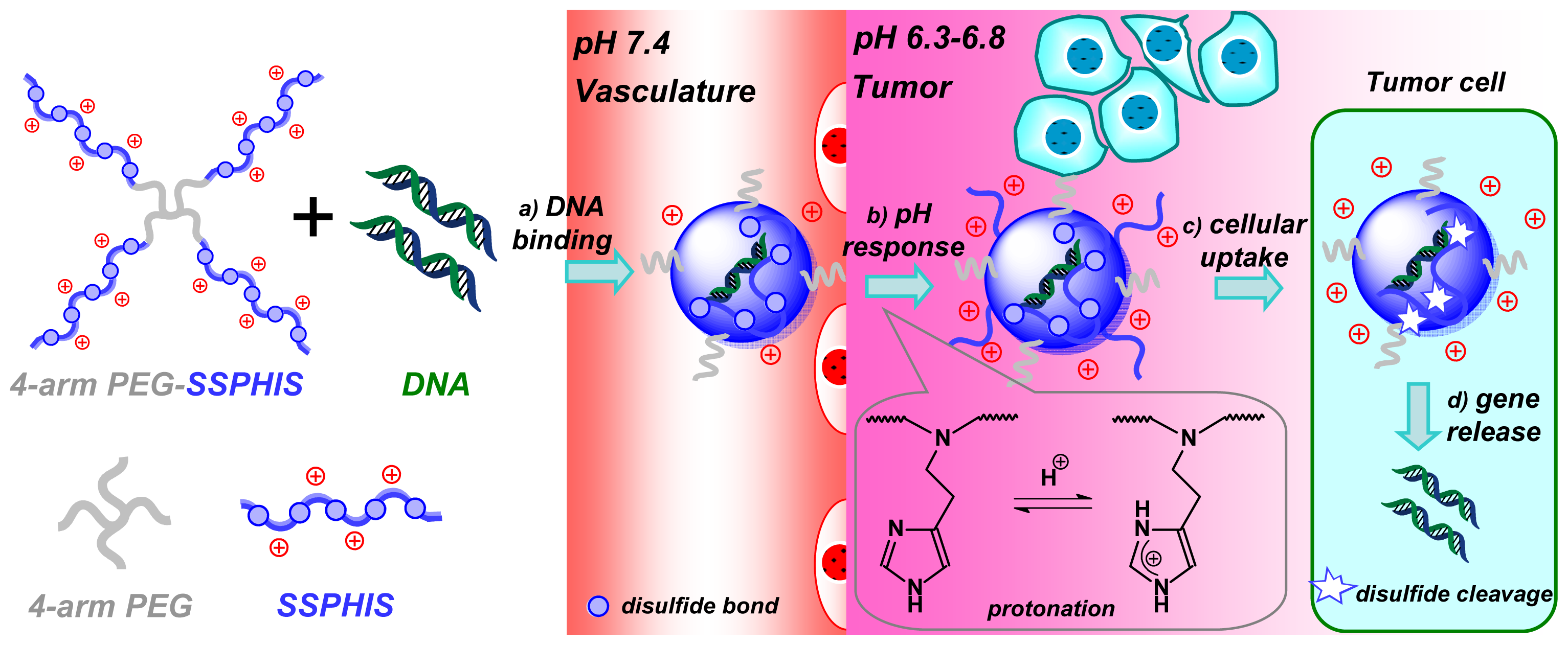 Ijms 15 09067f7 1024